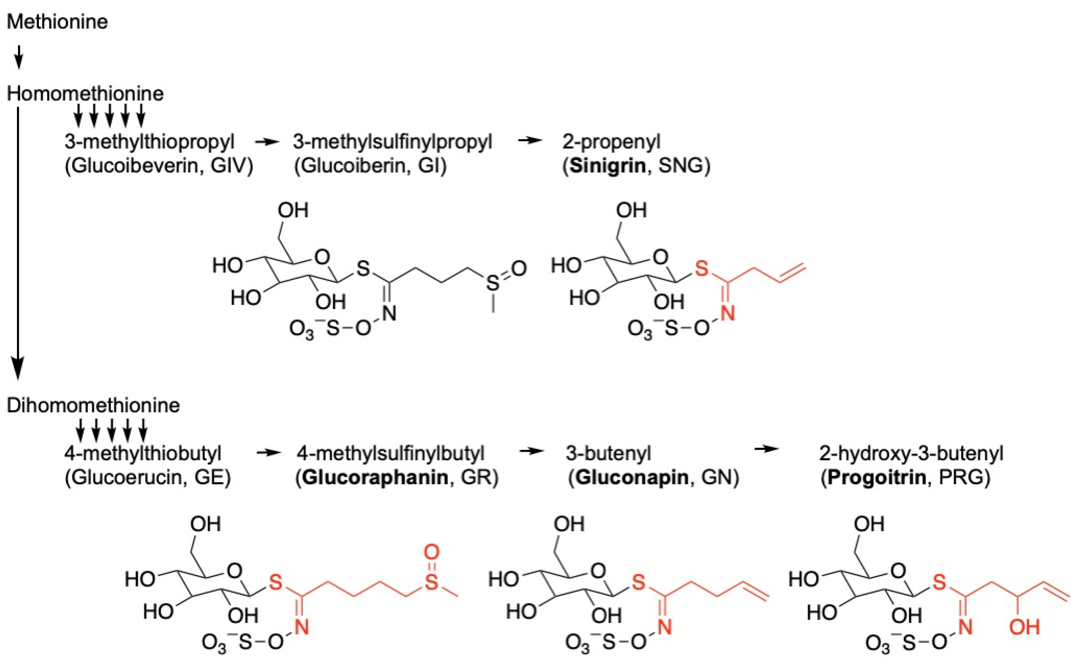 Nutrients 17 00344 g001