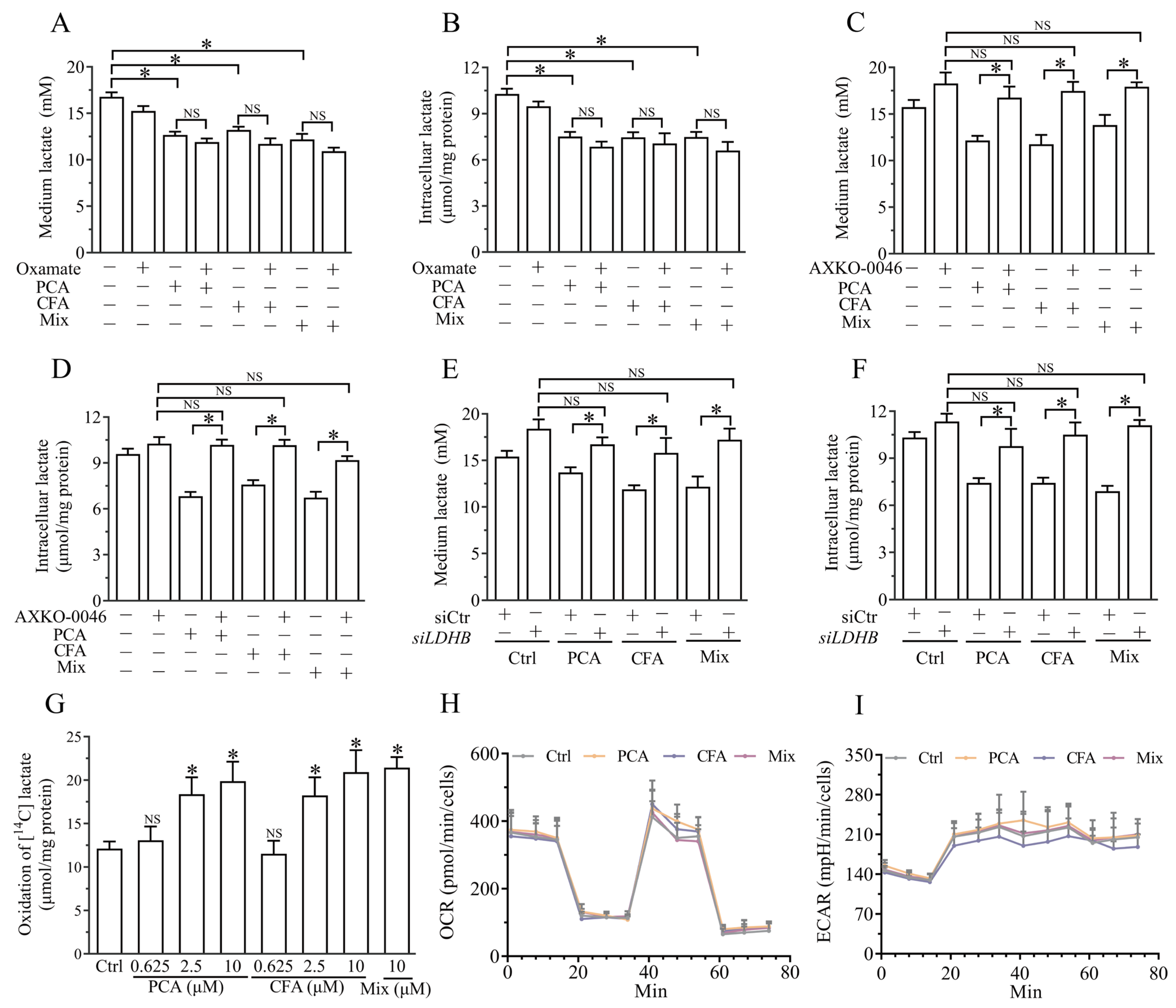Nutrients 17 00365 g005