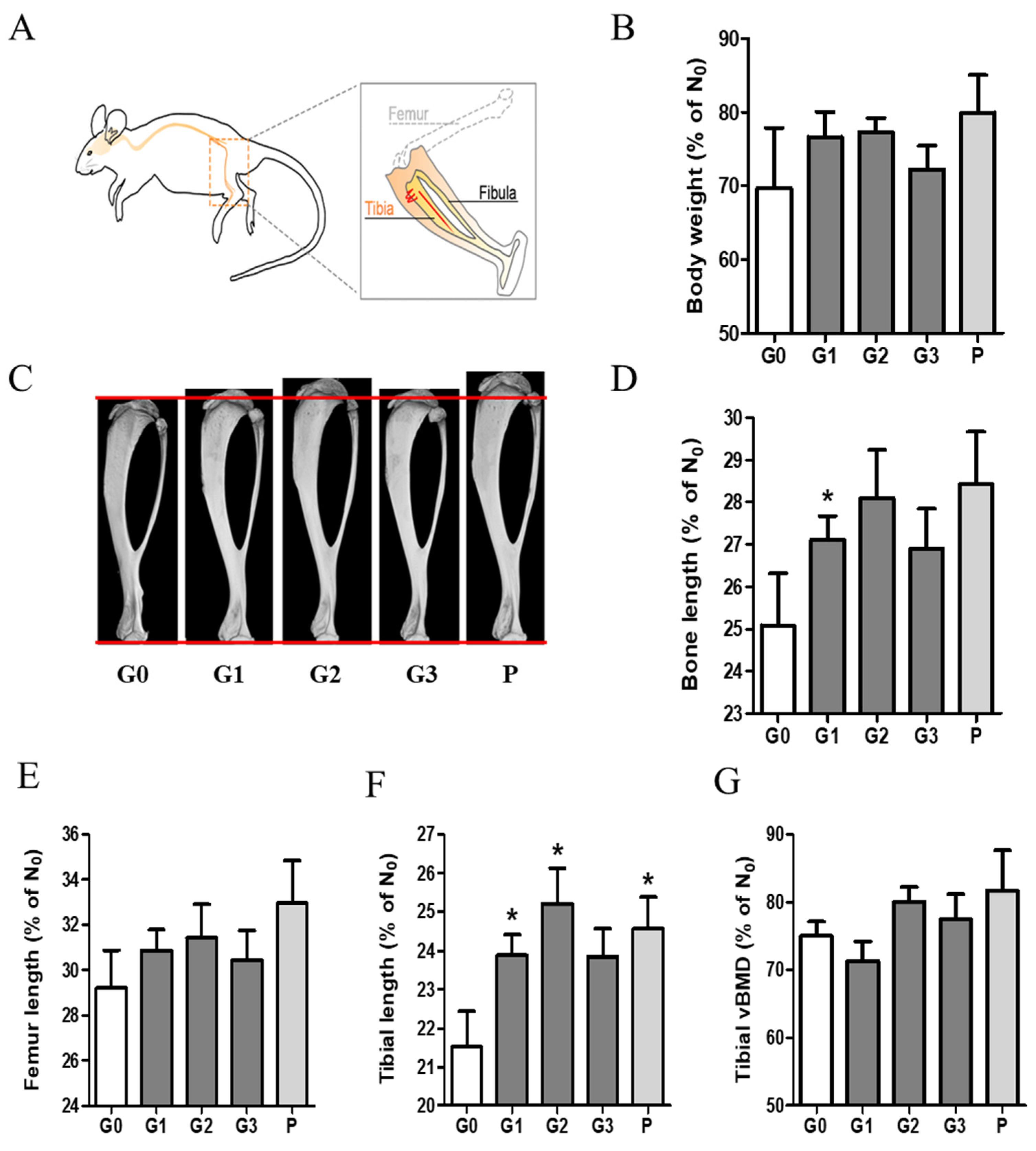 Nutrients 17 00416 g005