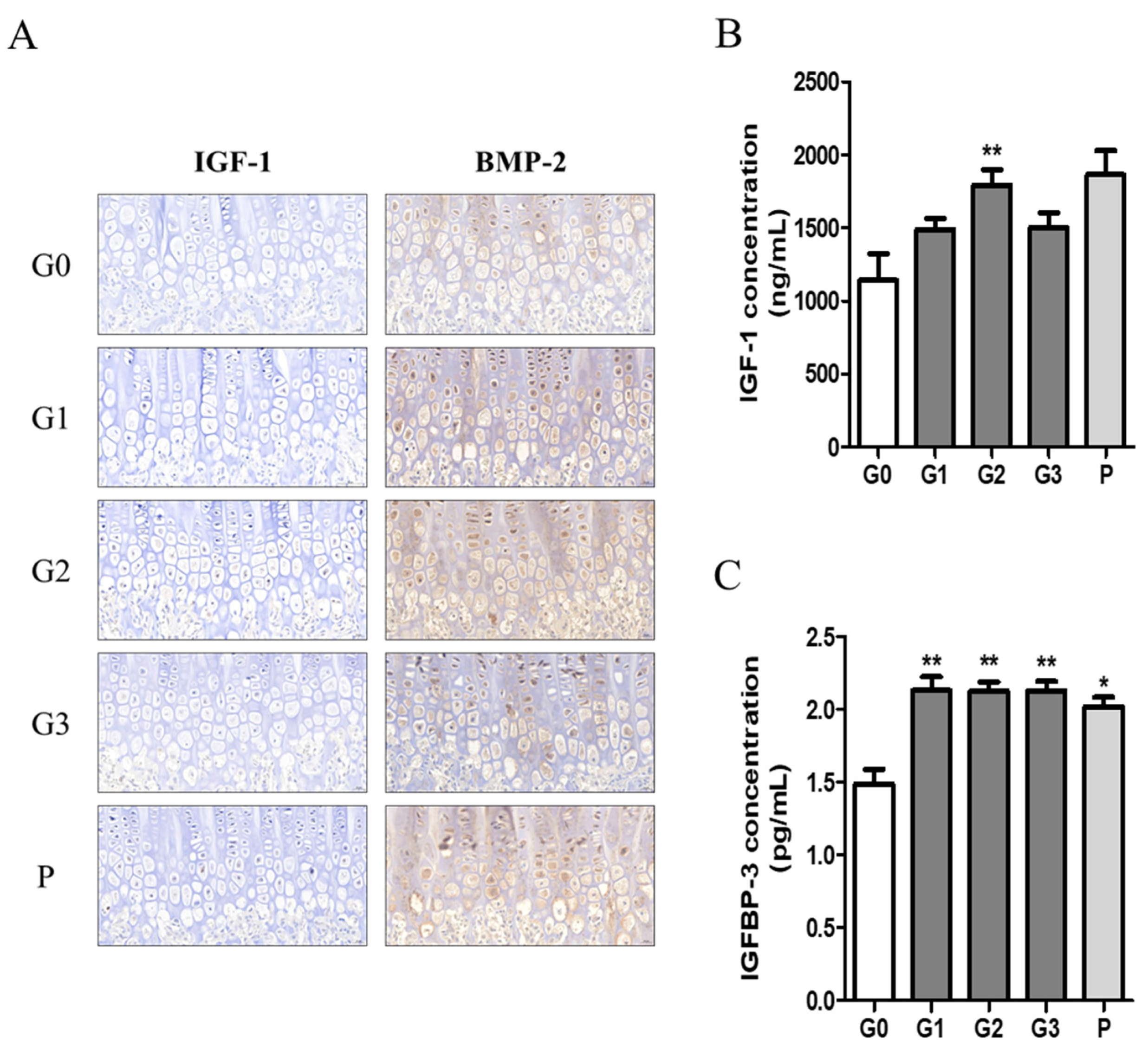 Nutrients 17 00416 g007