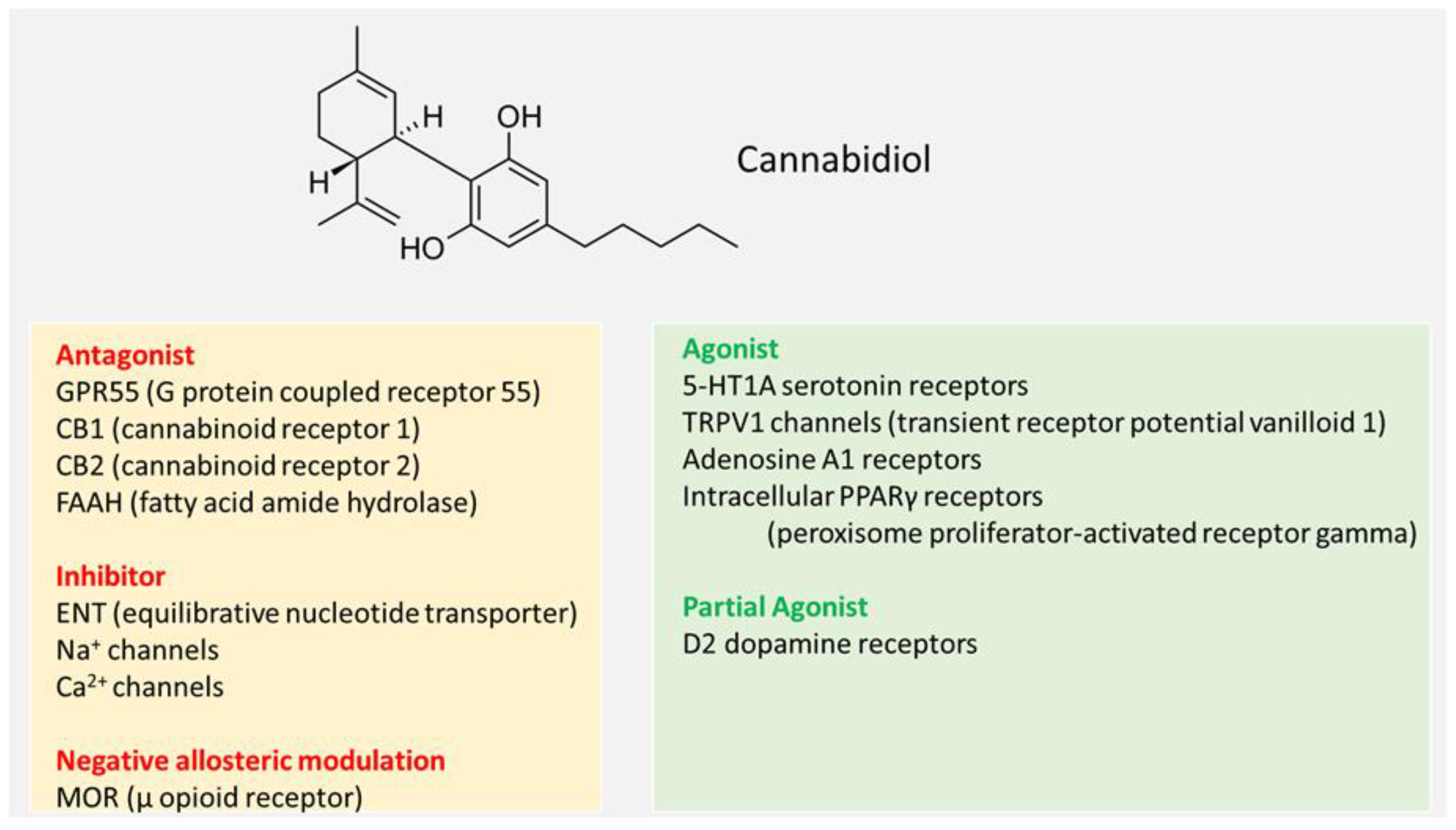 Nutrients 17 00489 g001