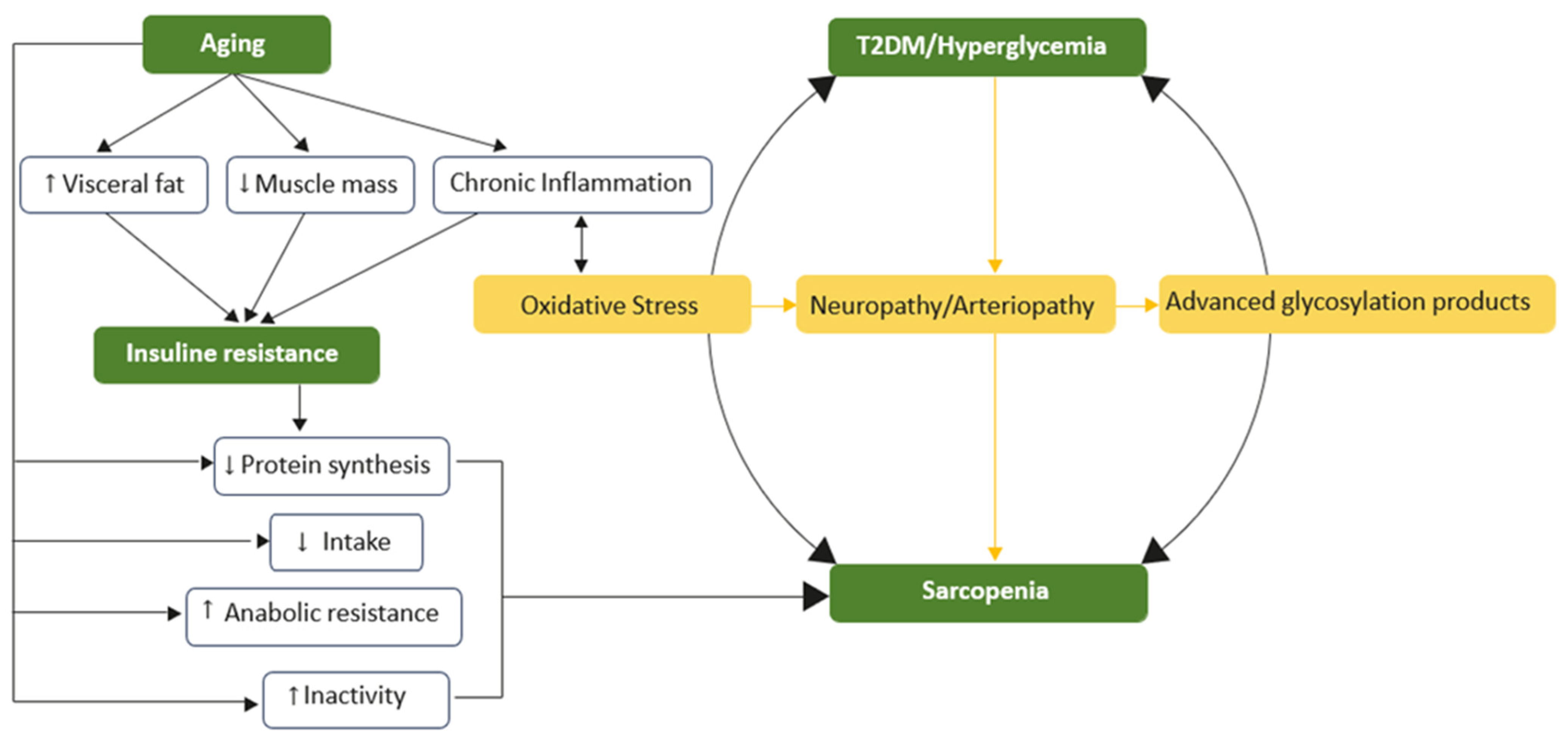 Nutrients 17 00499 g001 Nutrients 17 00499 g001