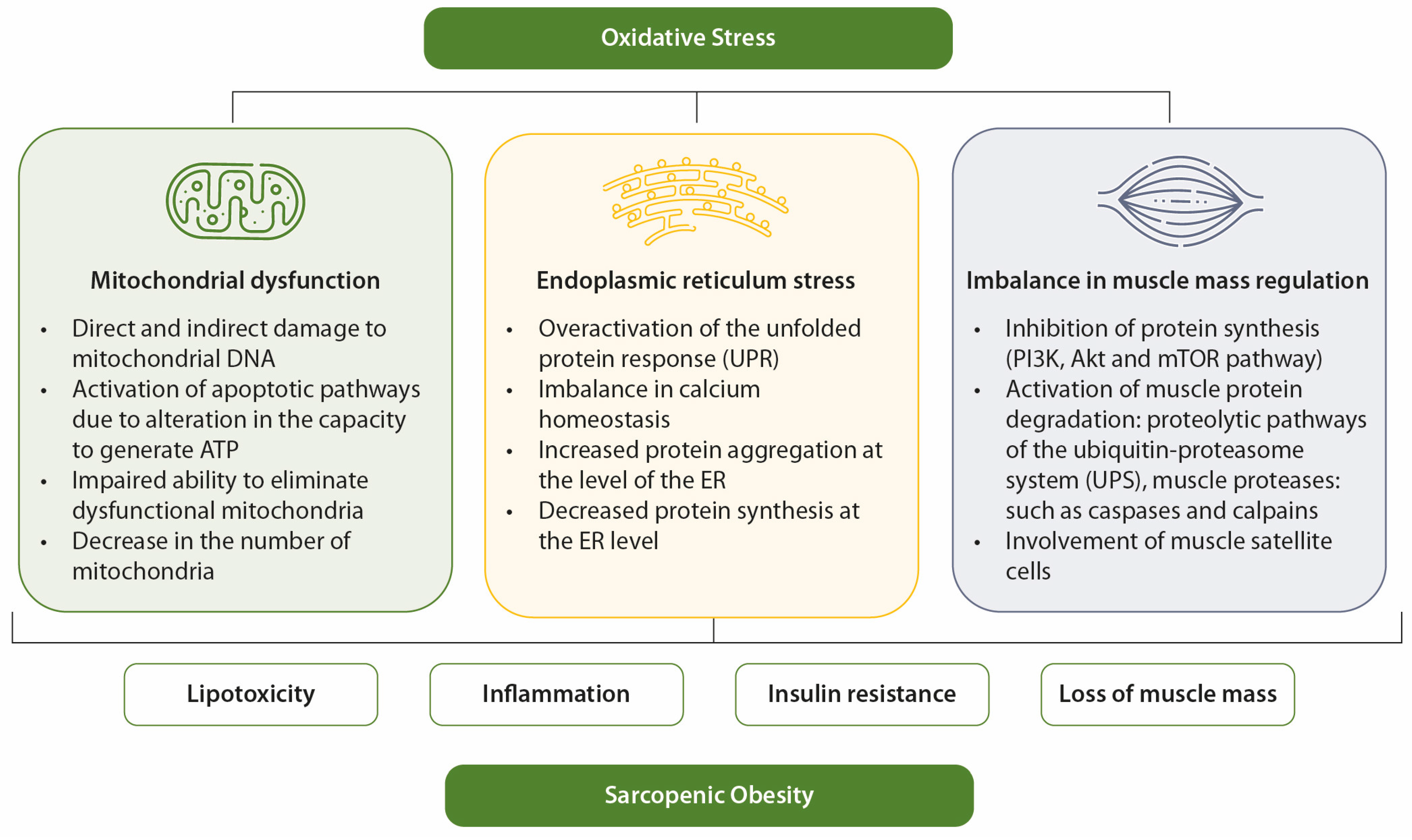 Nutrients 17 00499 g002 Nutrients 17 00499 g002