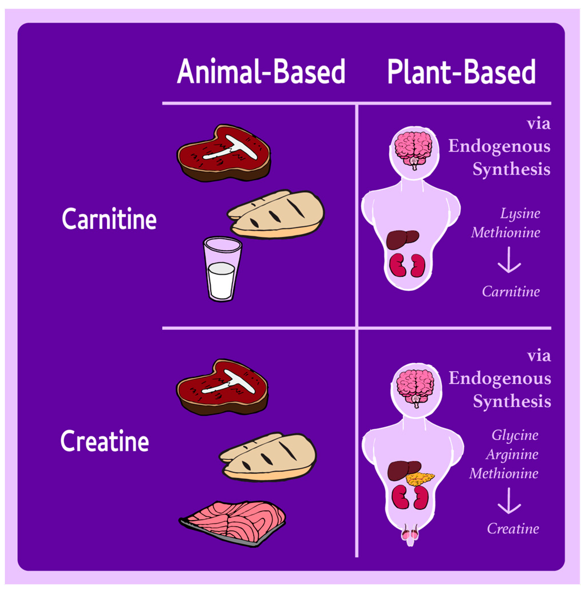 Nutrients 17 00525 g002