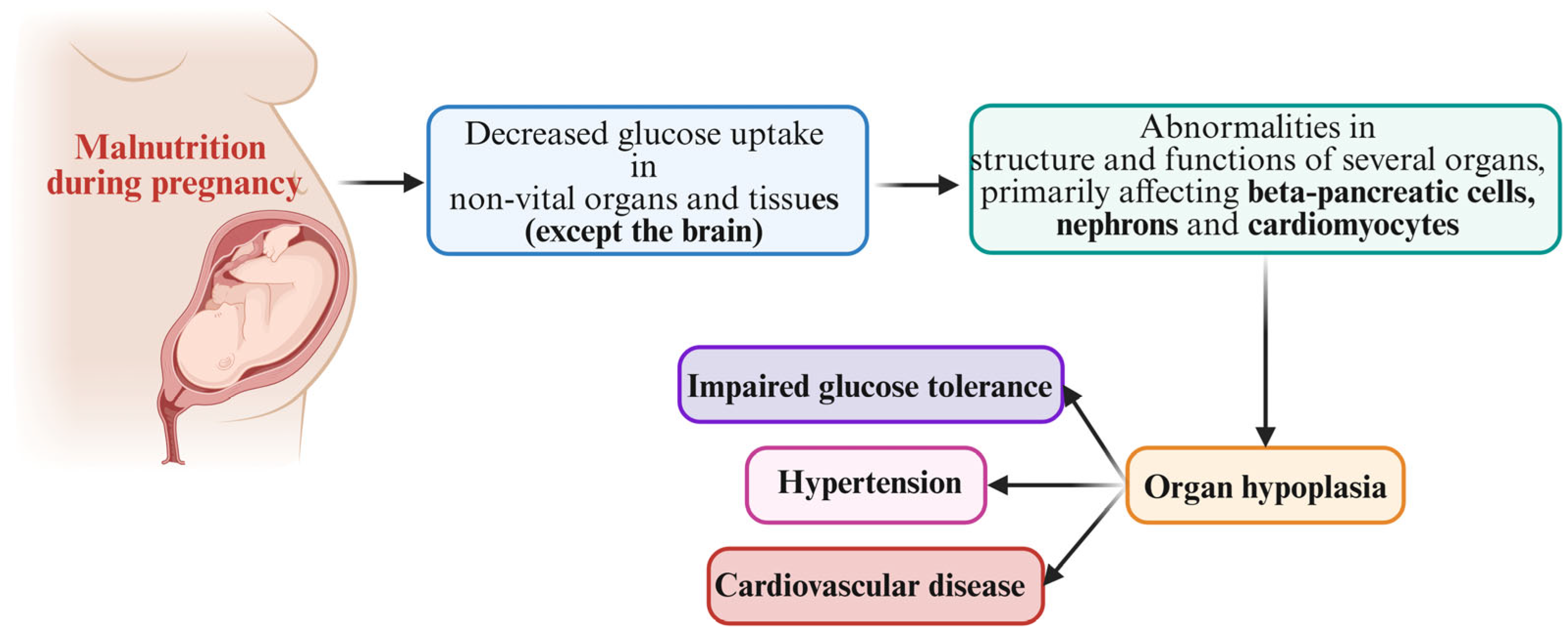 Nutrients 17 00555 g001 Nutrients 17 00555 g001