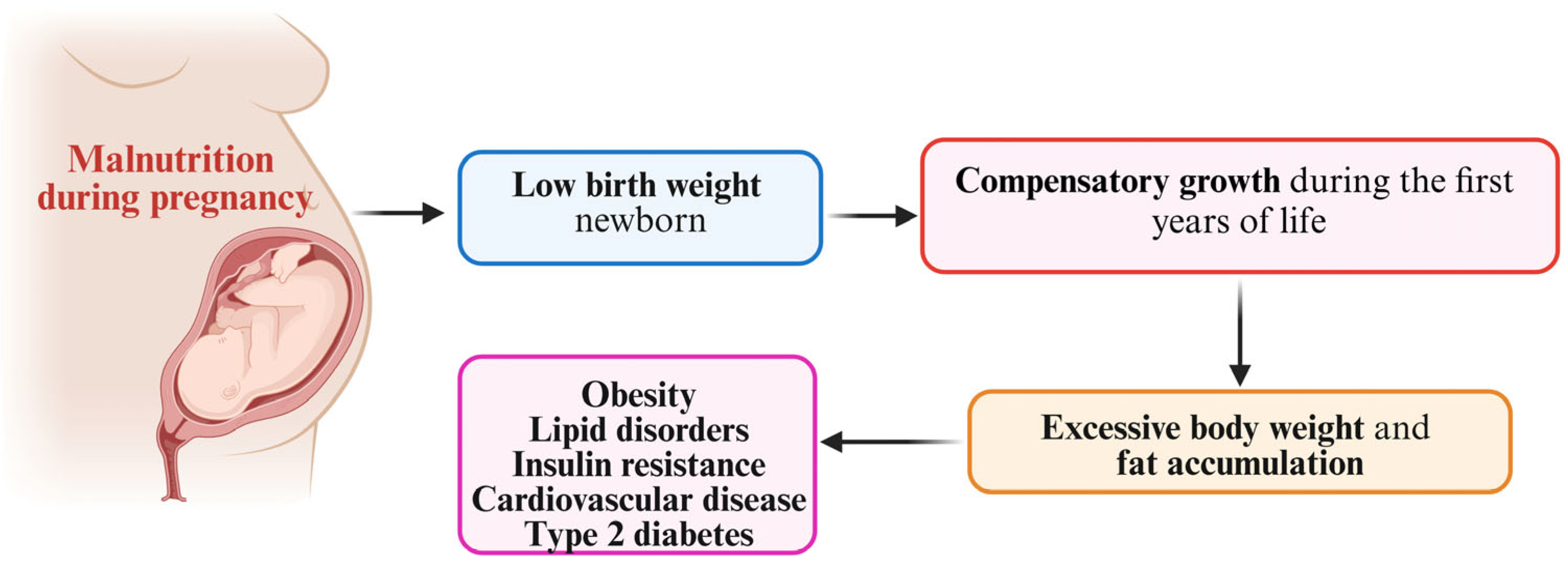 Nutrients 17 00555 g002 Nutrients 17 00555 g002