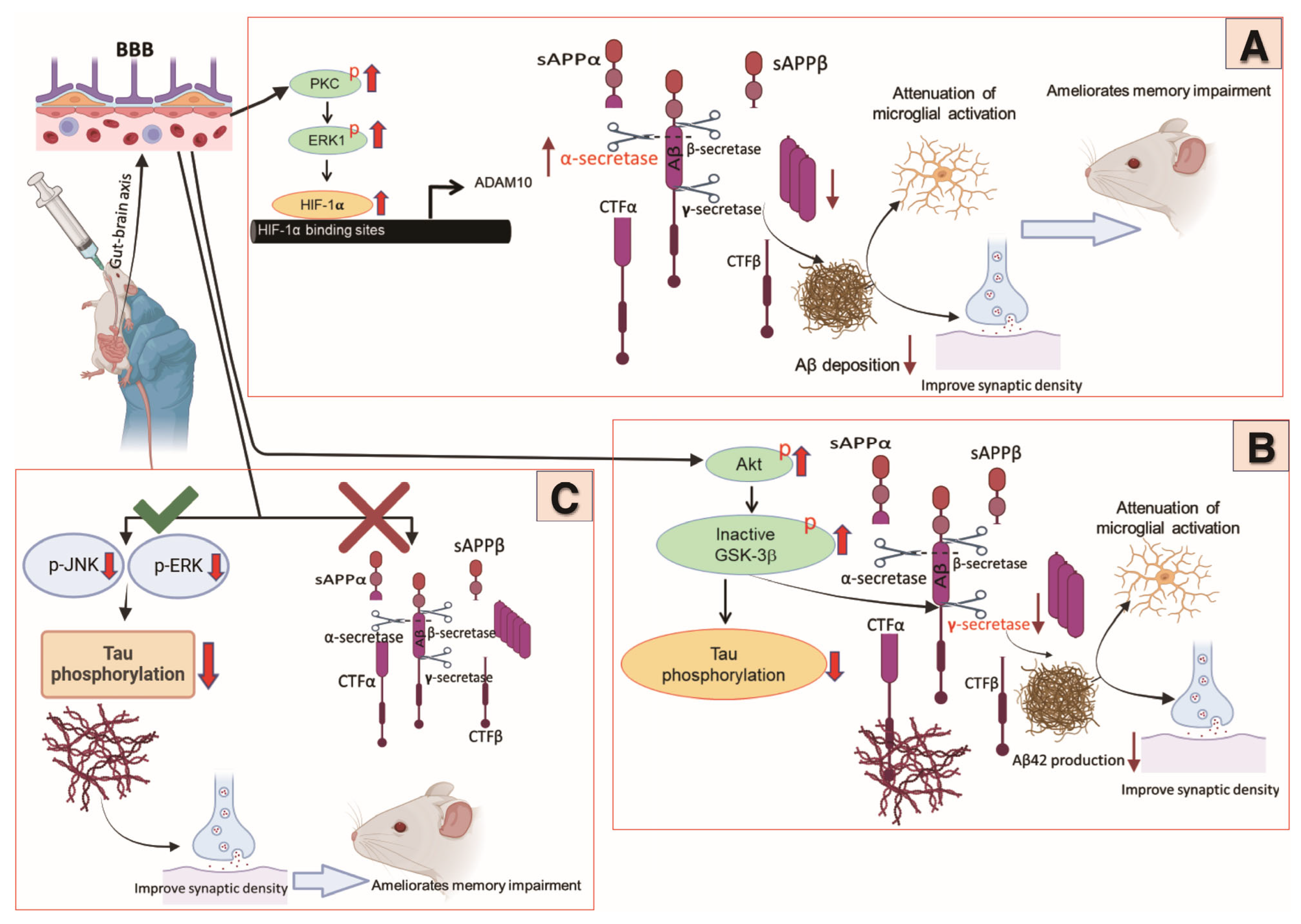 Nutrients 17 00558 g001