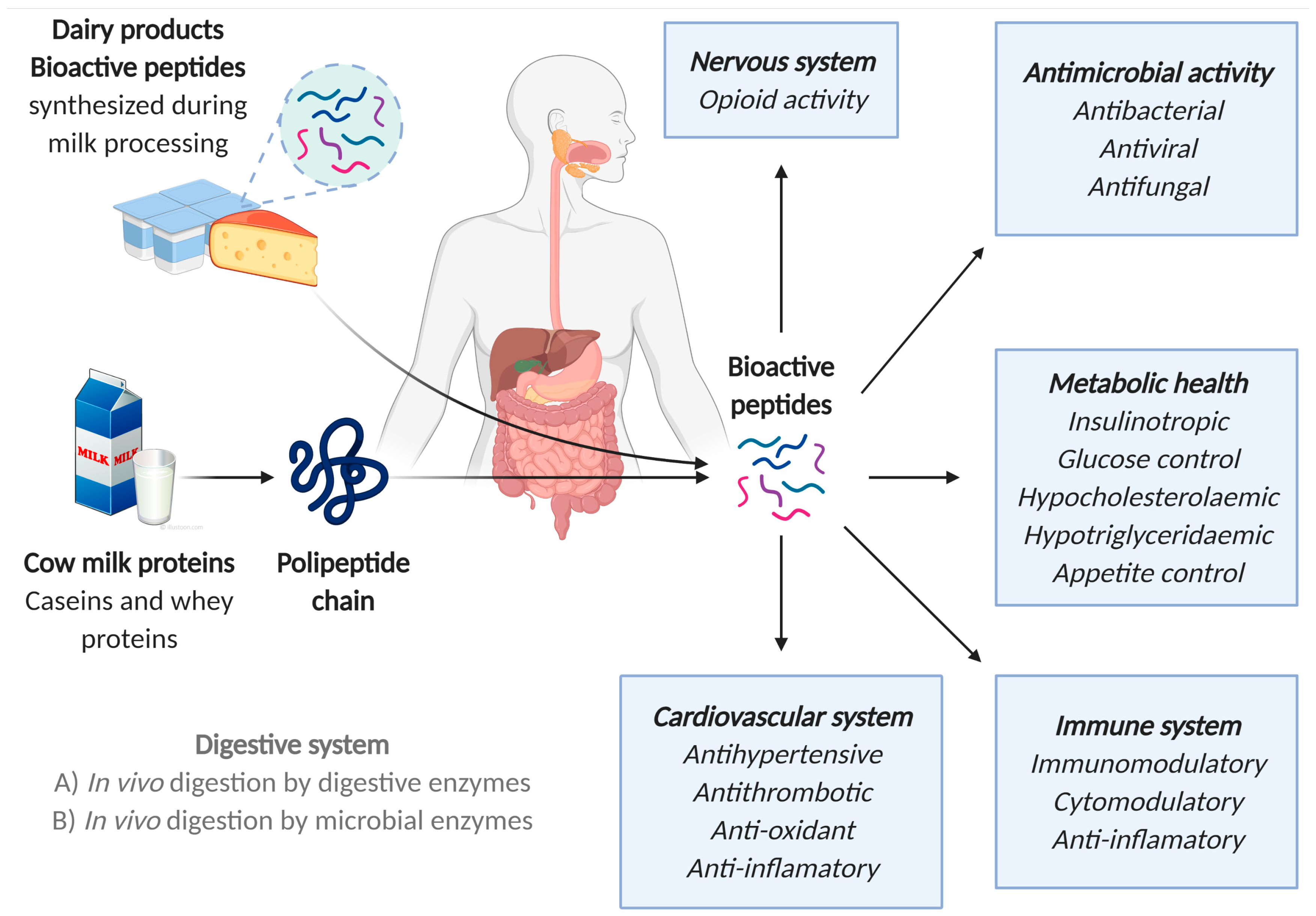 Nutrients 17 00646 g001