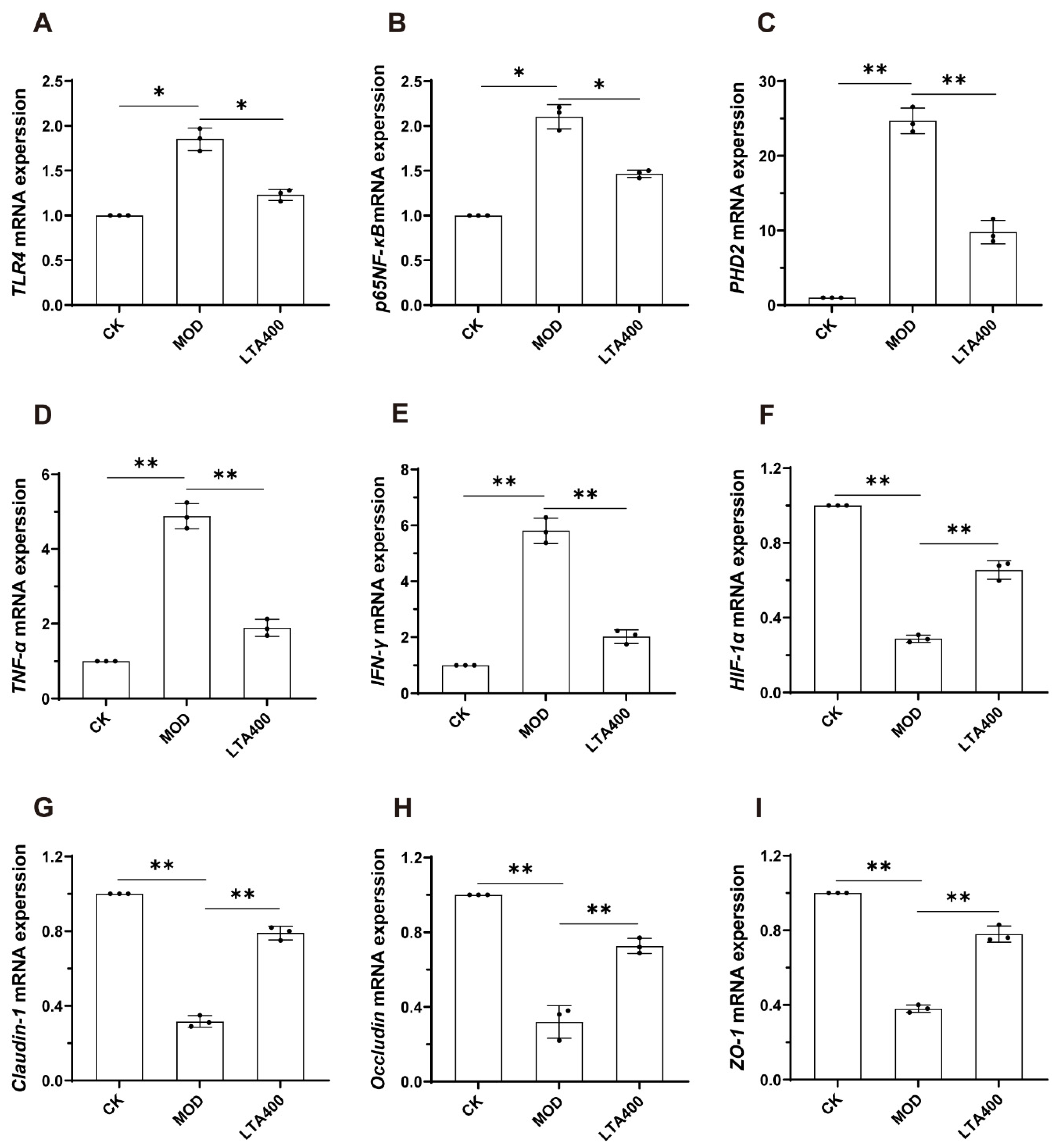 Nutrients 17 00720 g005