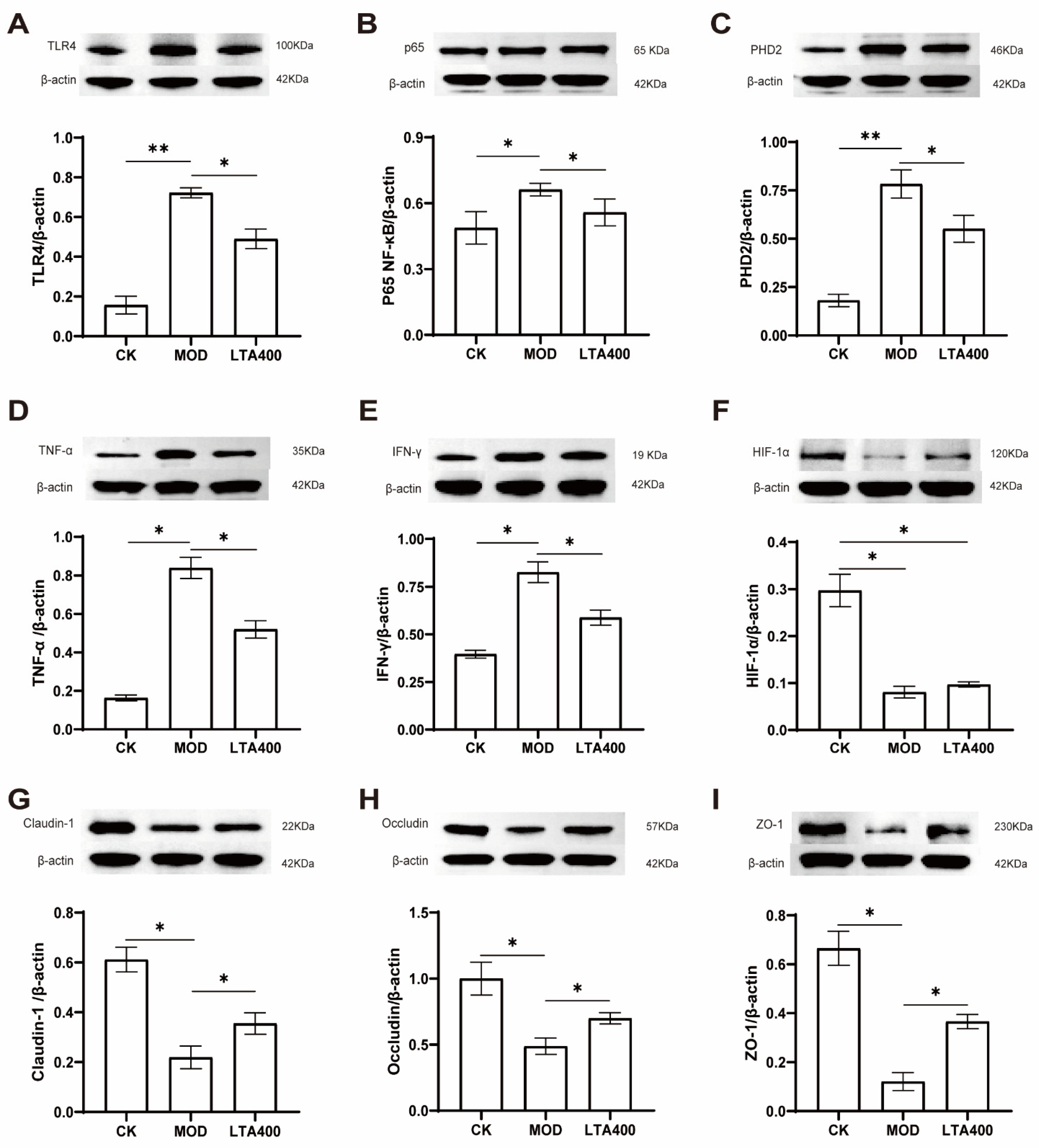 Nutrients 17 00720 g006