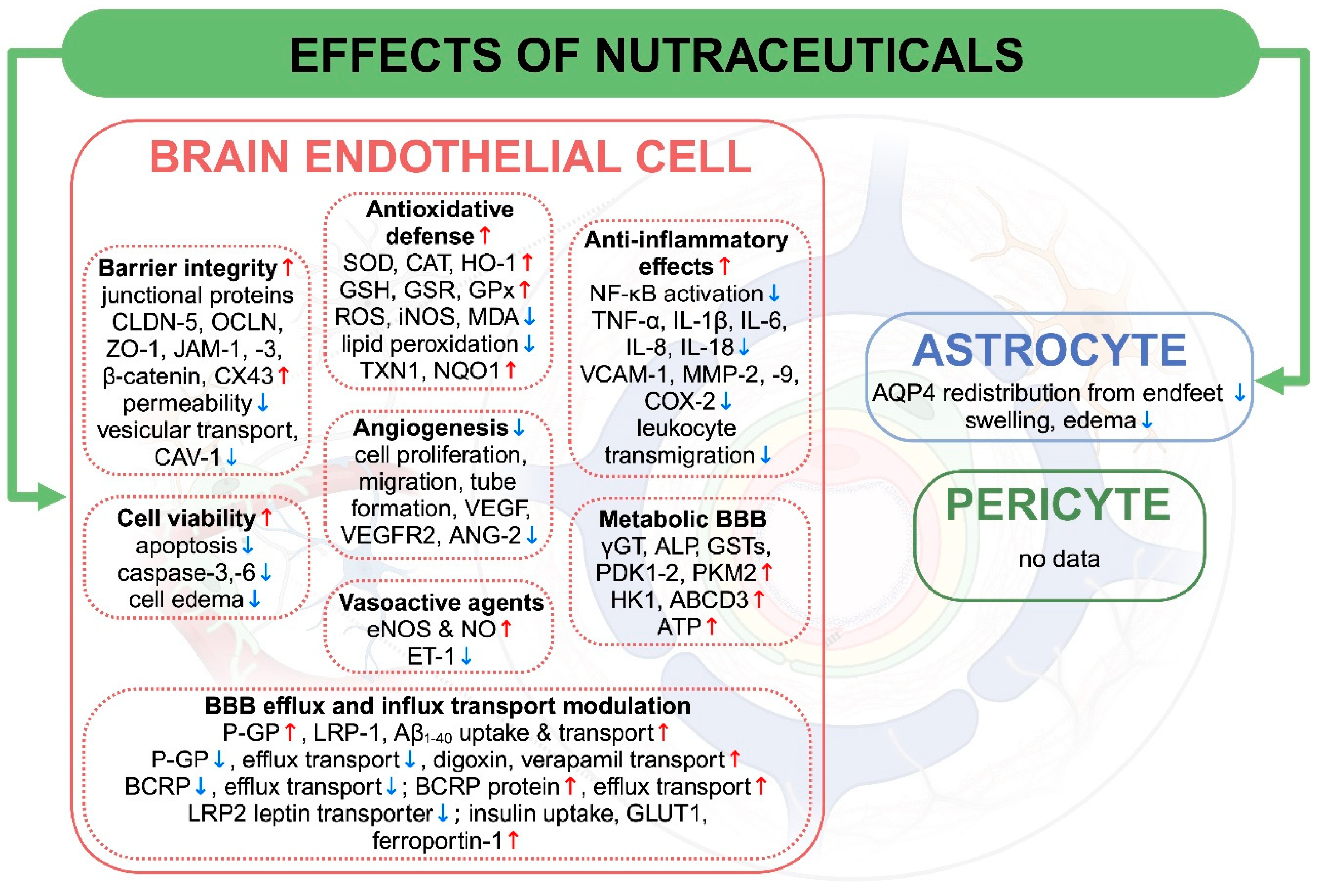 Nutrients 17 00766 g003
