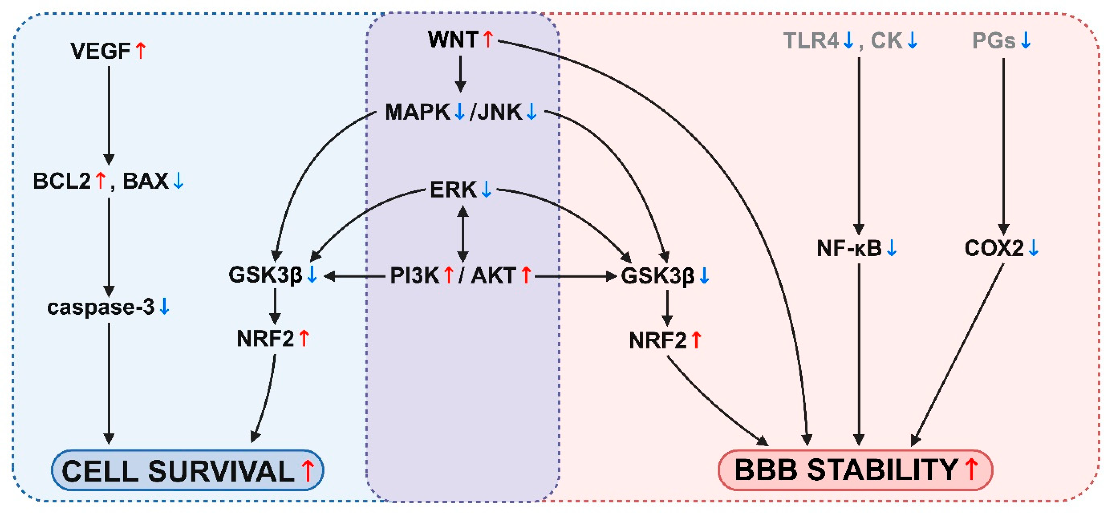 Nutrients 17 00766 g004