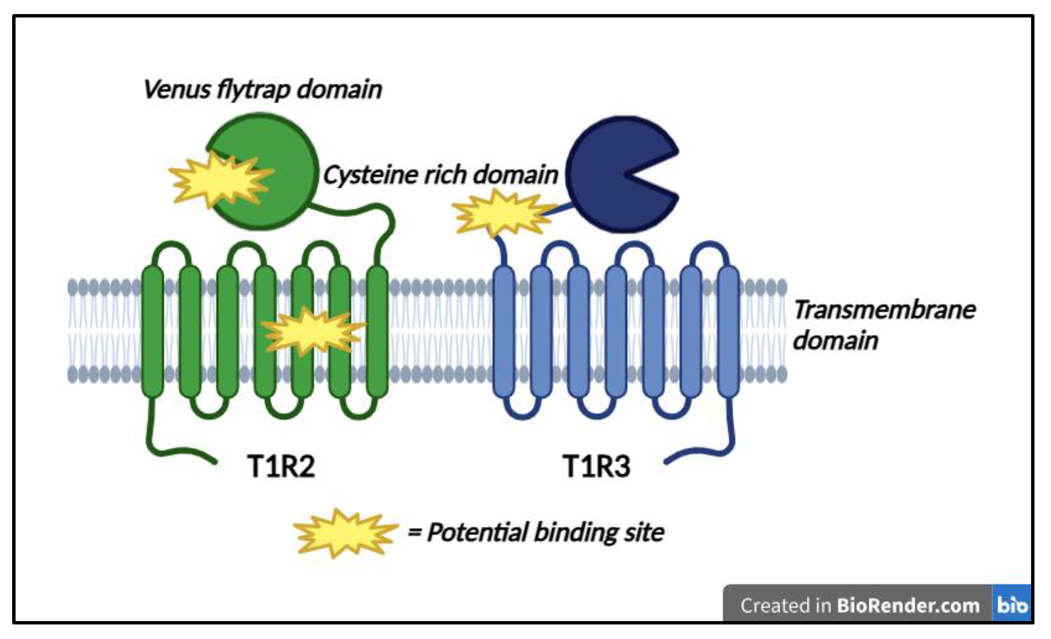 Nutrients 17 00793 g003
