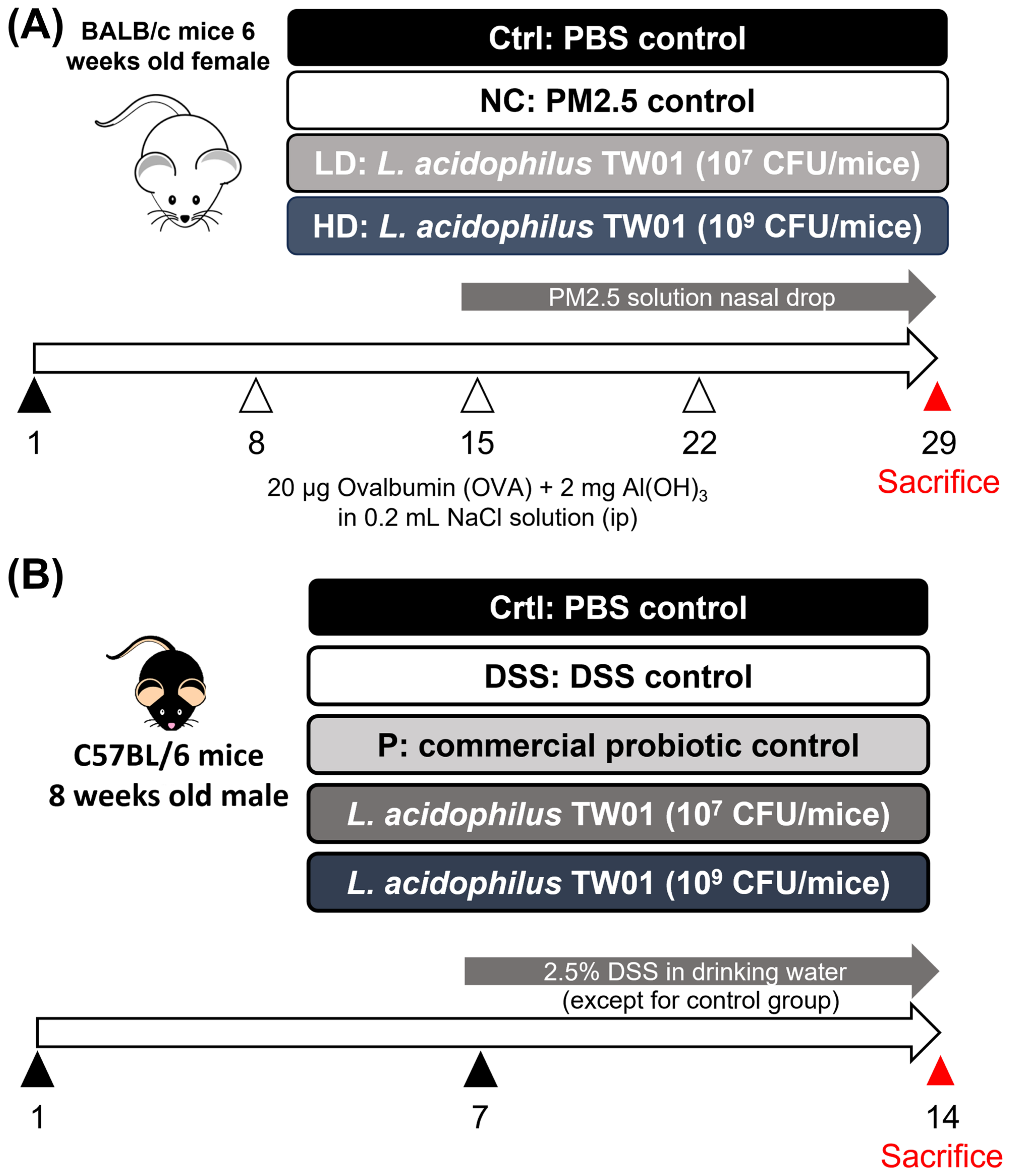 Nutrients 17 00831 g001 Nutrients 17 00831 g001