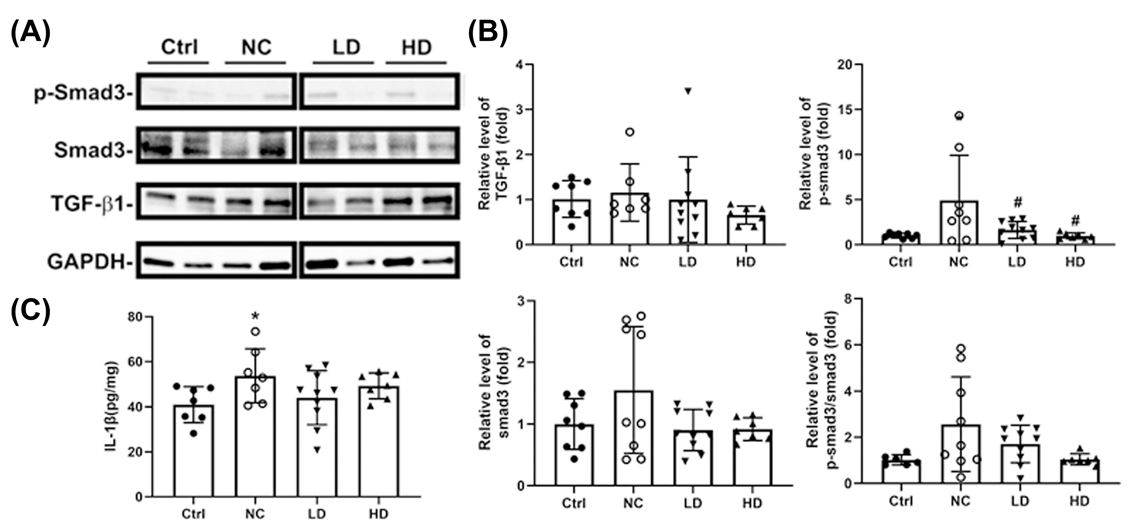 Nutrients 17 00831 g005 Nutrients 17 00831 g005