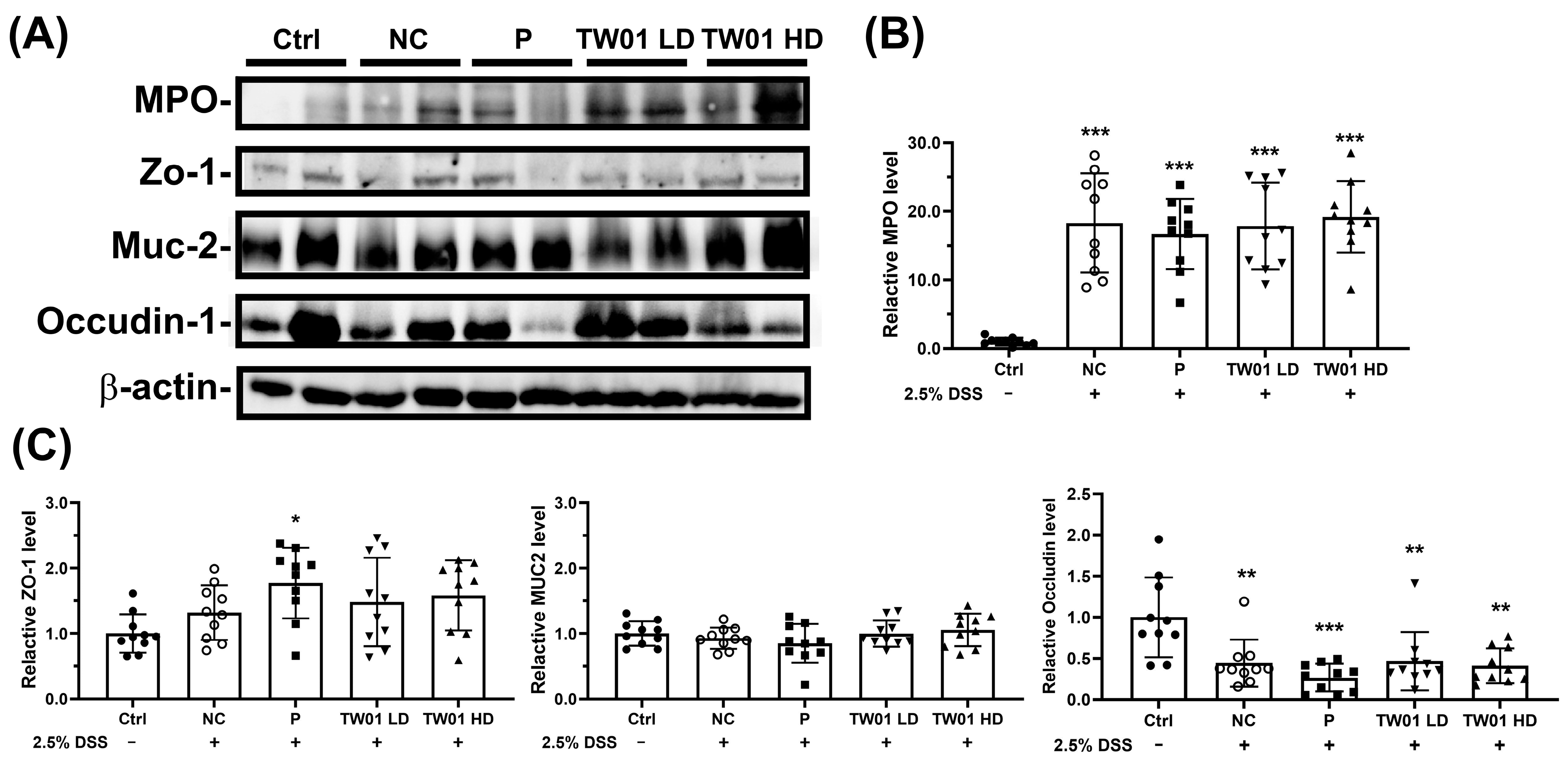 Nutrients 17 00831 g010 Nutrients 17 00831 g010