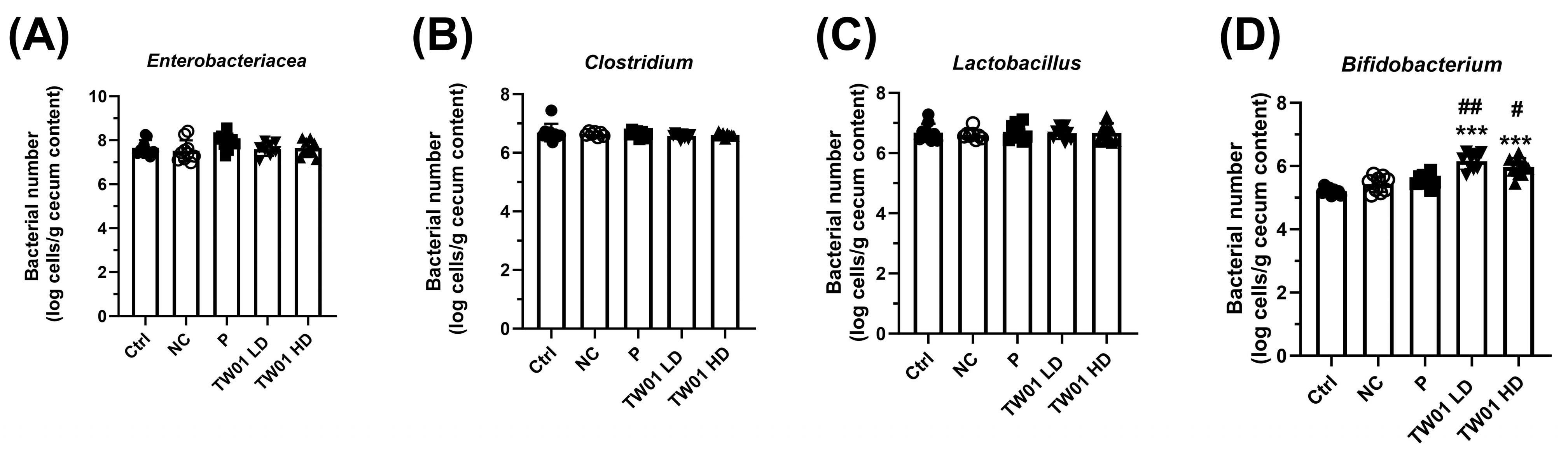 Nutrients 17 00831 g011 Nutrients 17 00831 g011