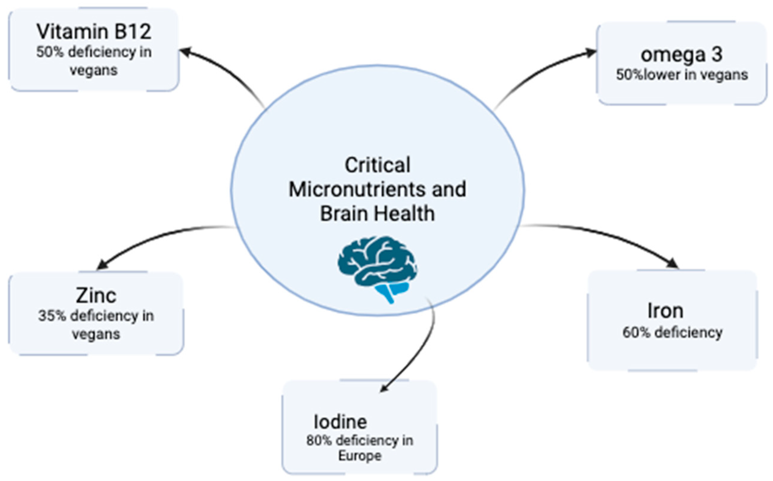 Nutrients 17 00884 g001