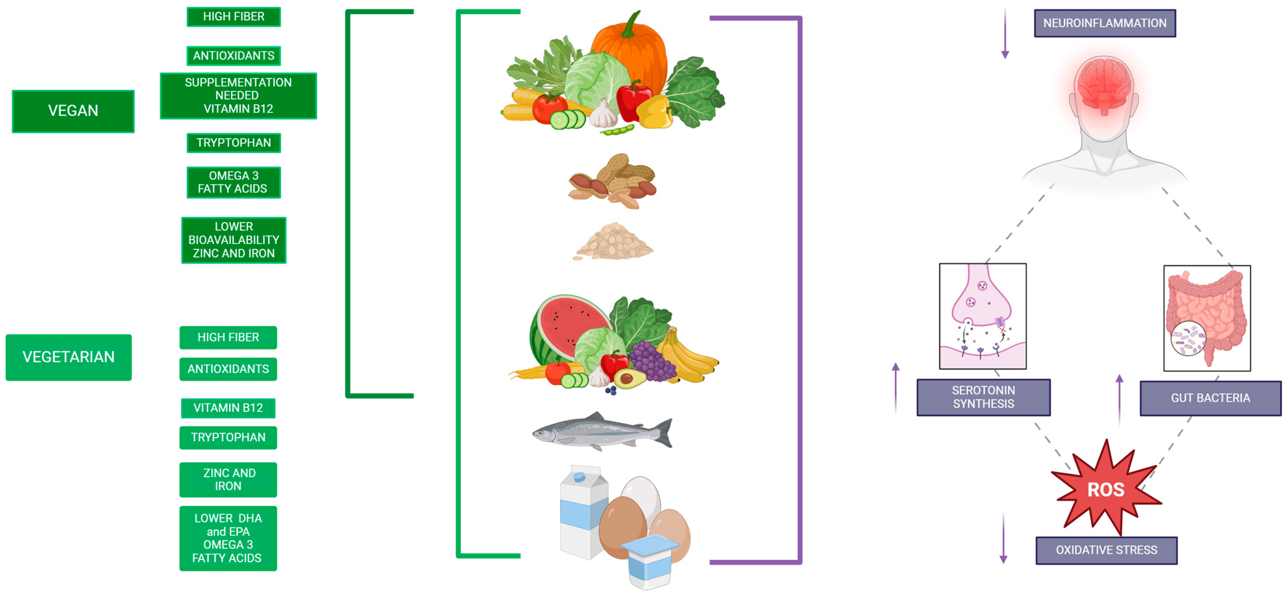 Nutrients 17 00884 g004