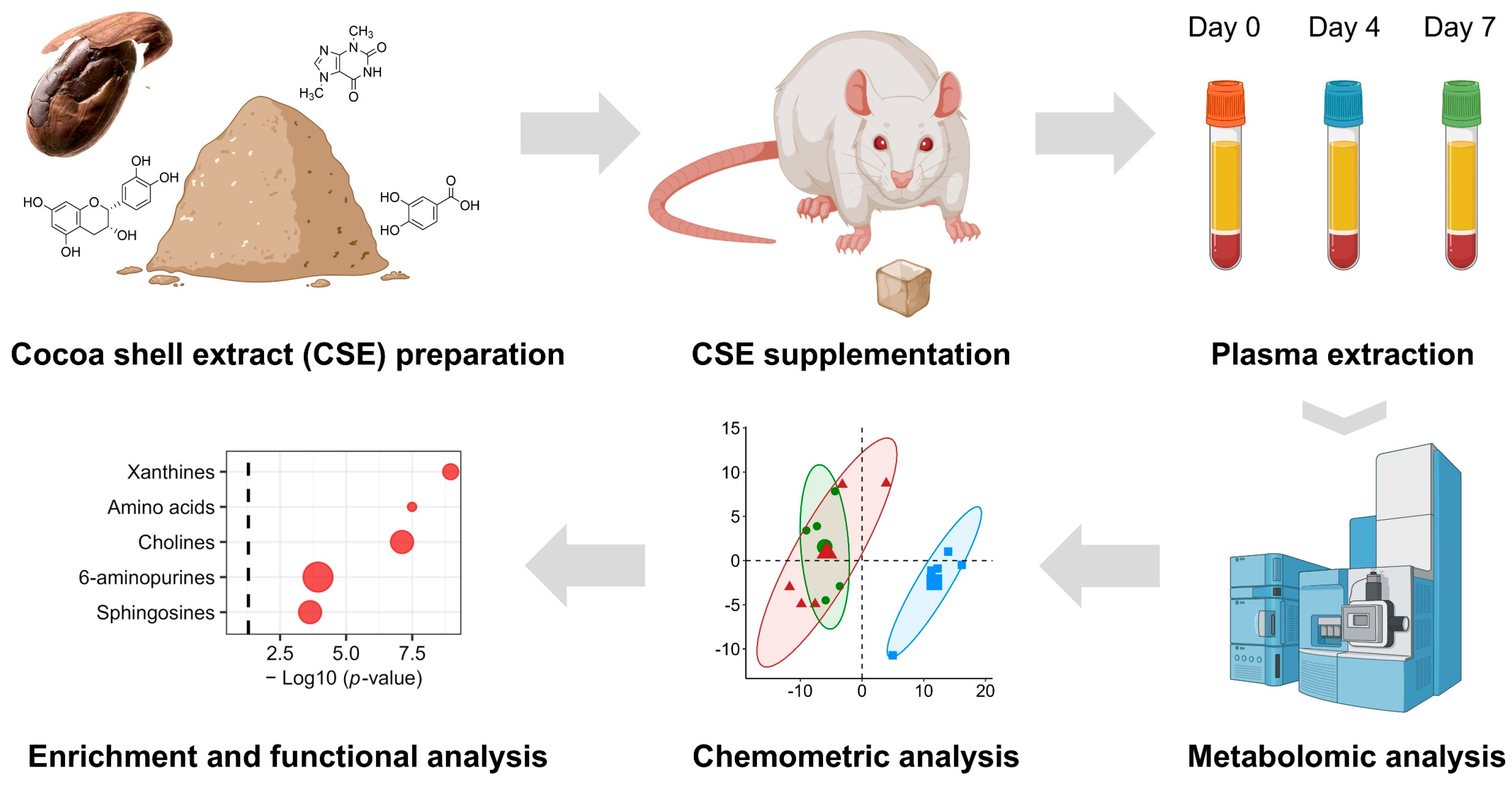 Nutrients 17 00885 g001