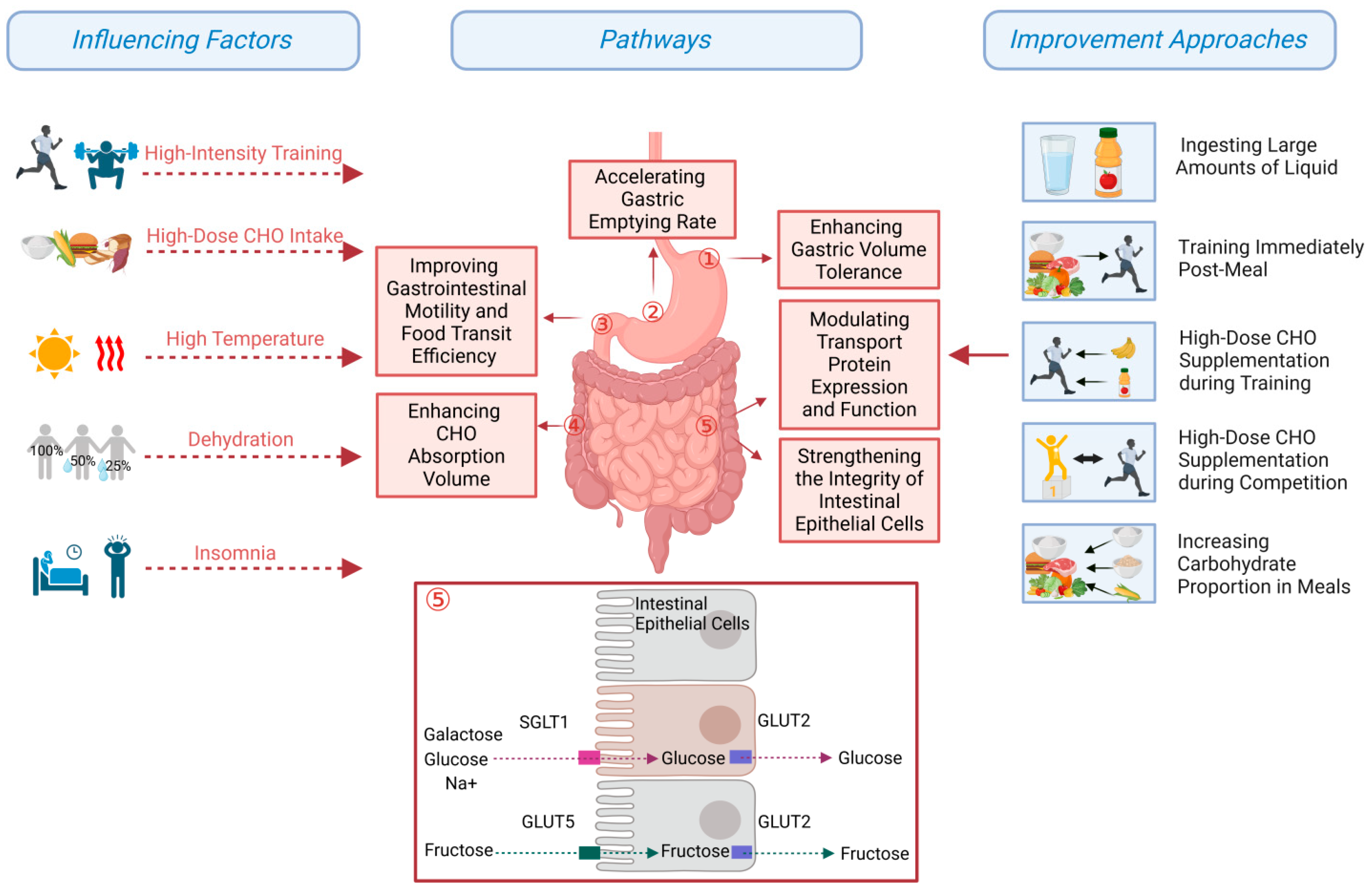 Nutrients 17 00918 g002