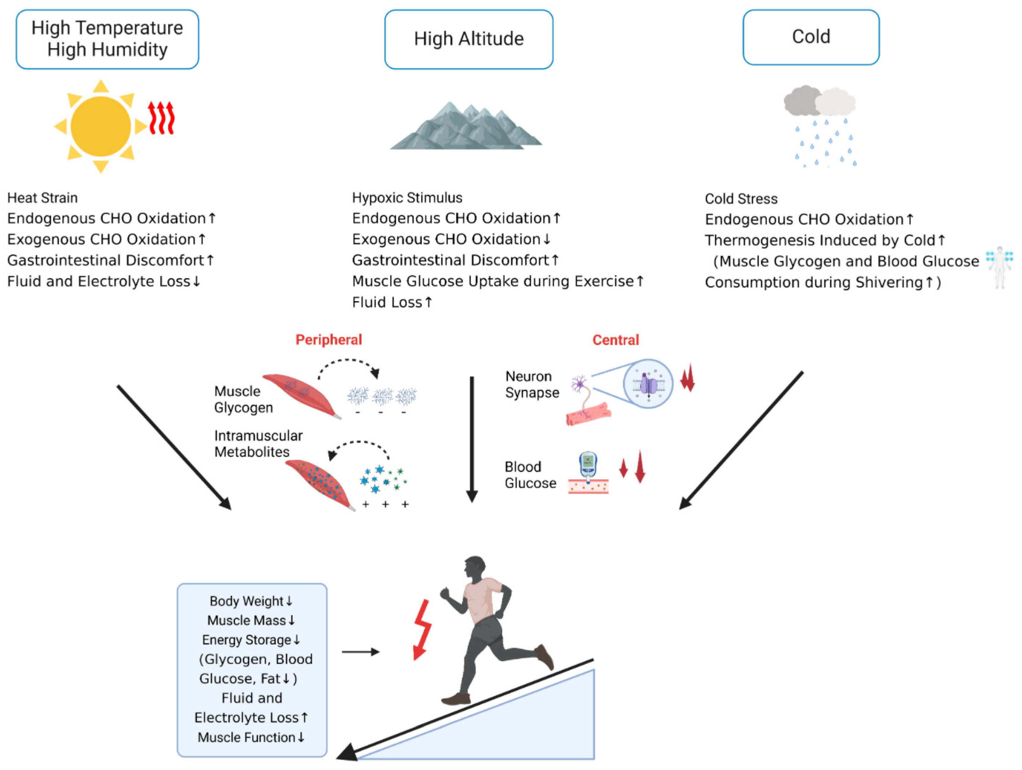 Nutrients 17 00918 g003