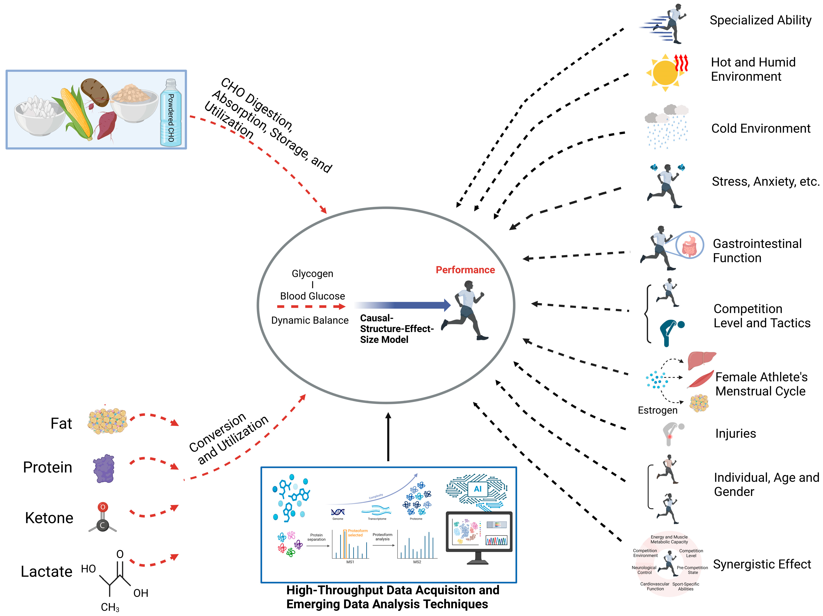 Nutrients 17 00918 g004