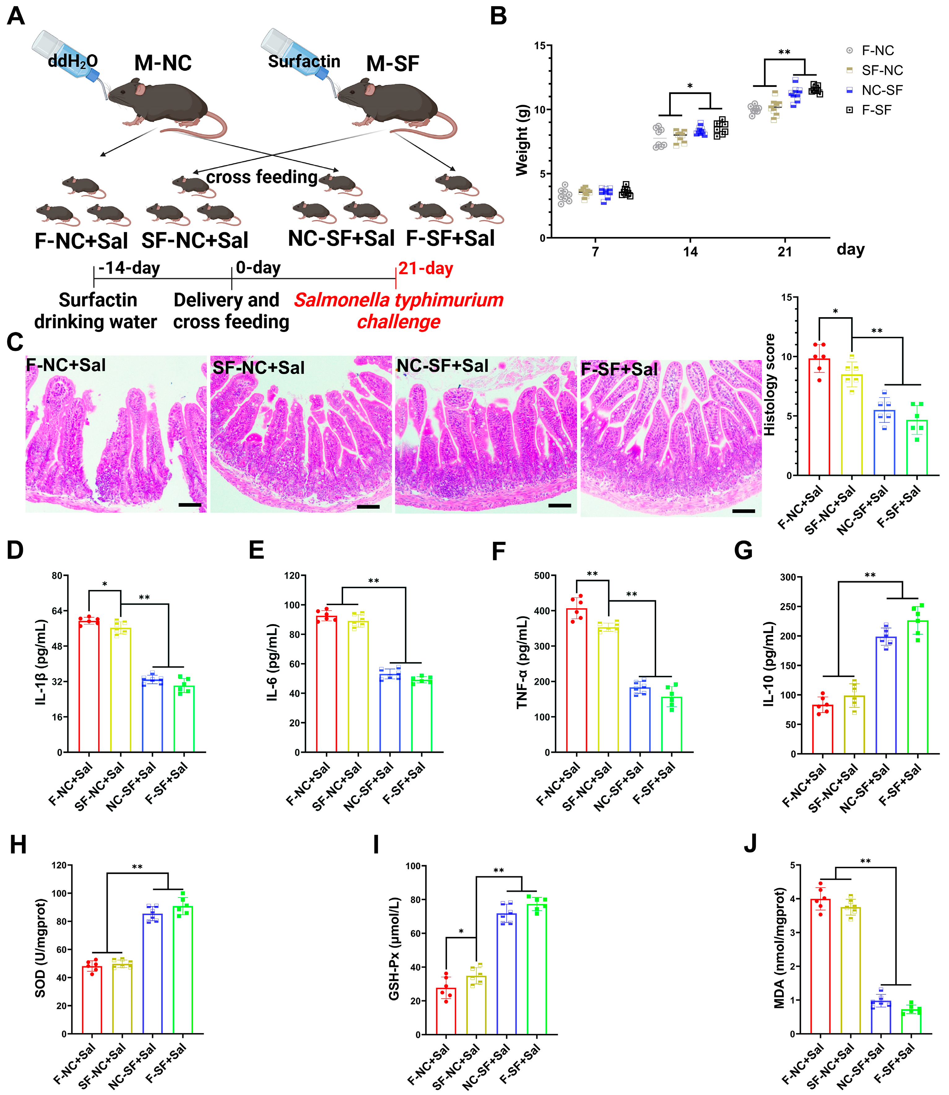 Nutrients 17 01009 g002