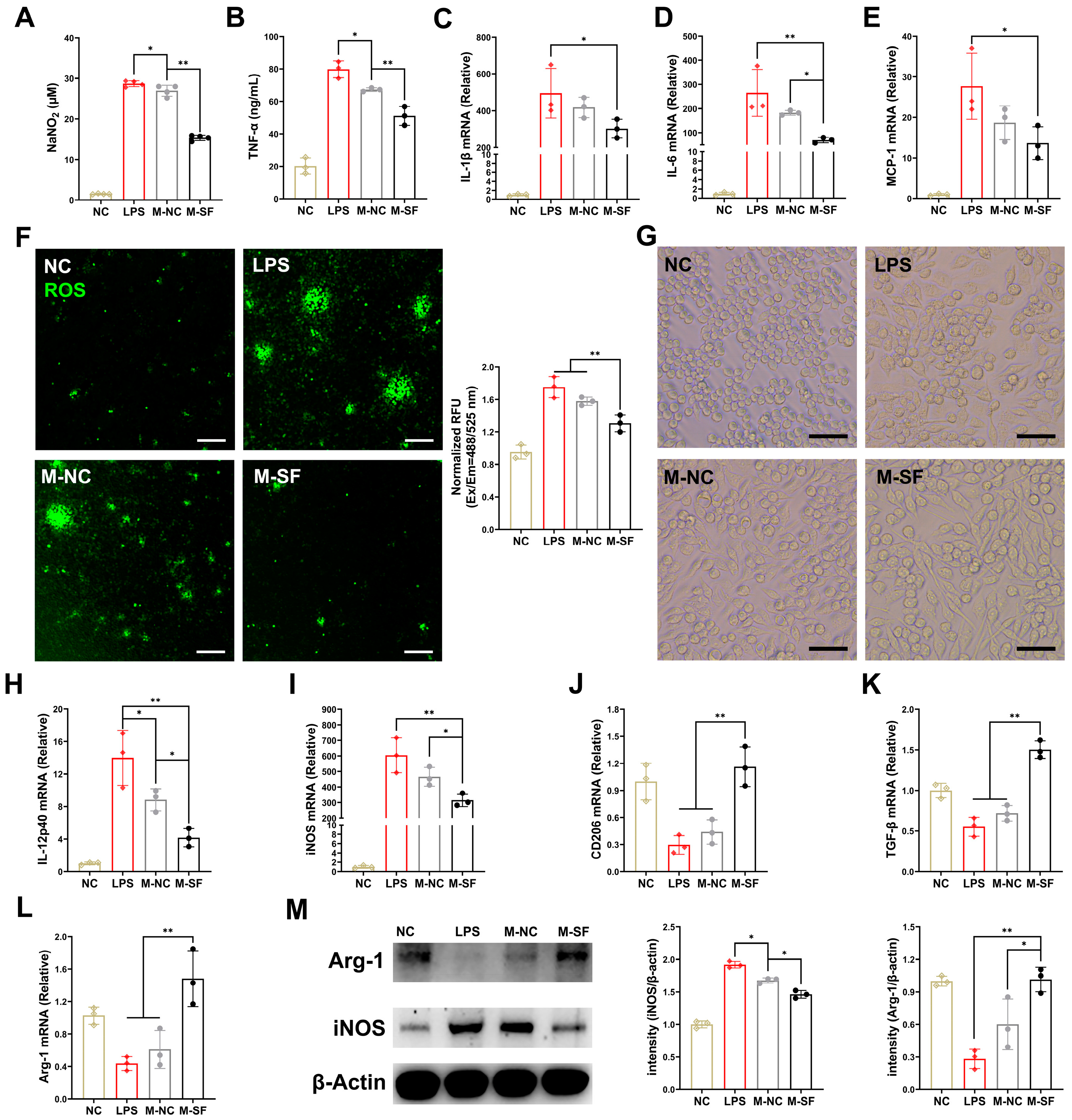 Nutrients 17 01009 g003