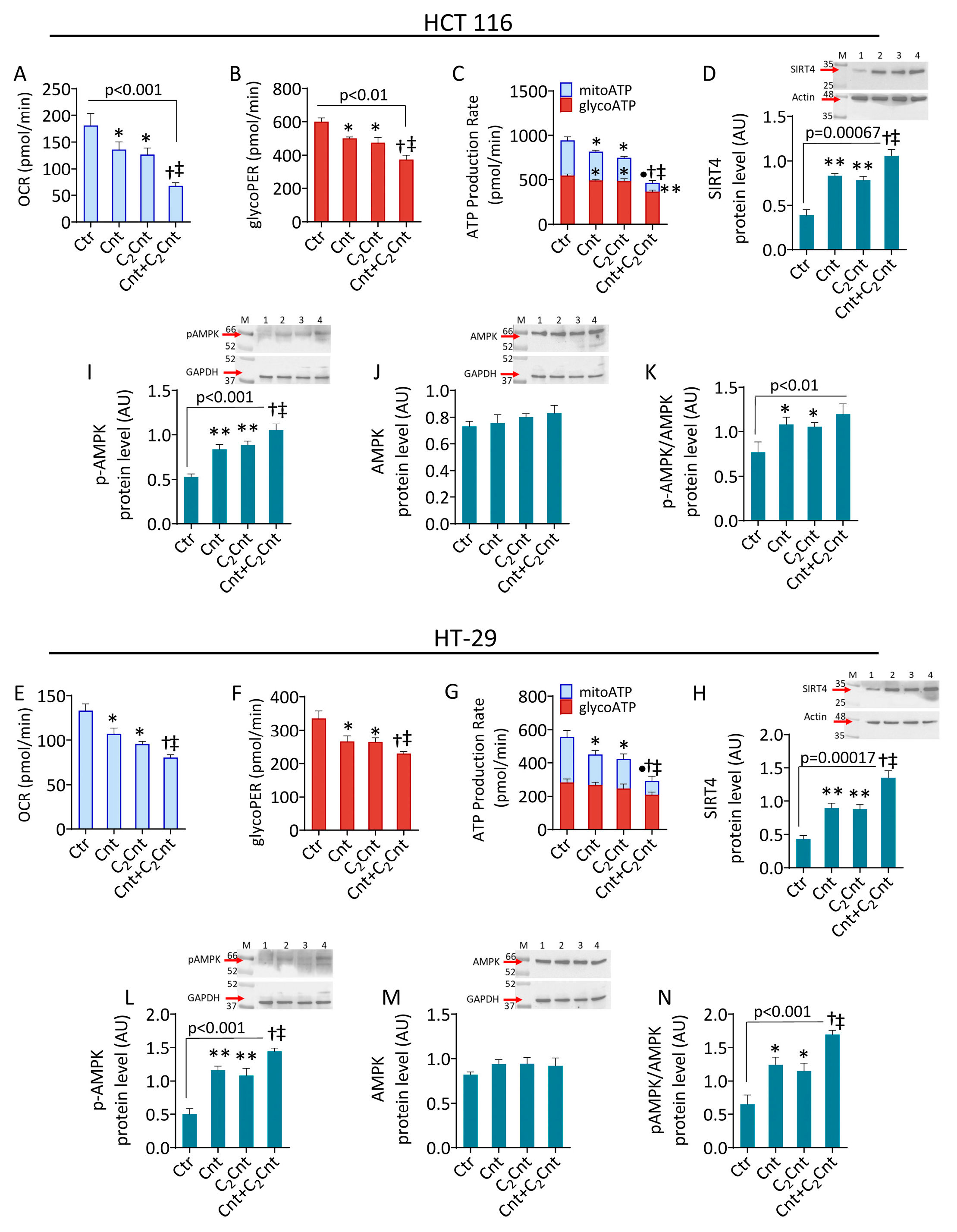 Nutrients 17 01010 g002 Nutrients 17 01010 g002