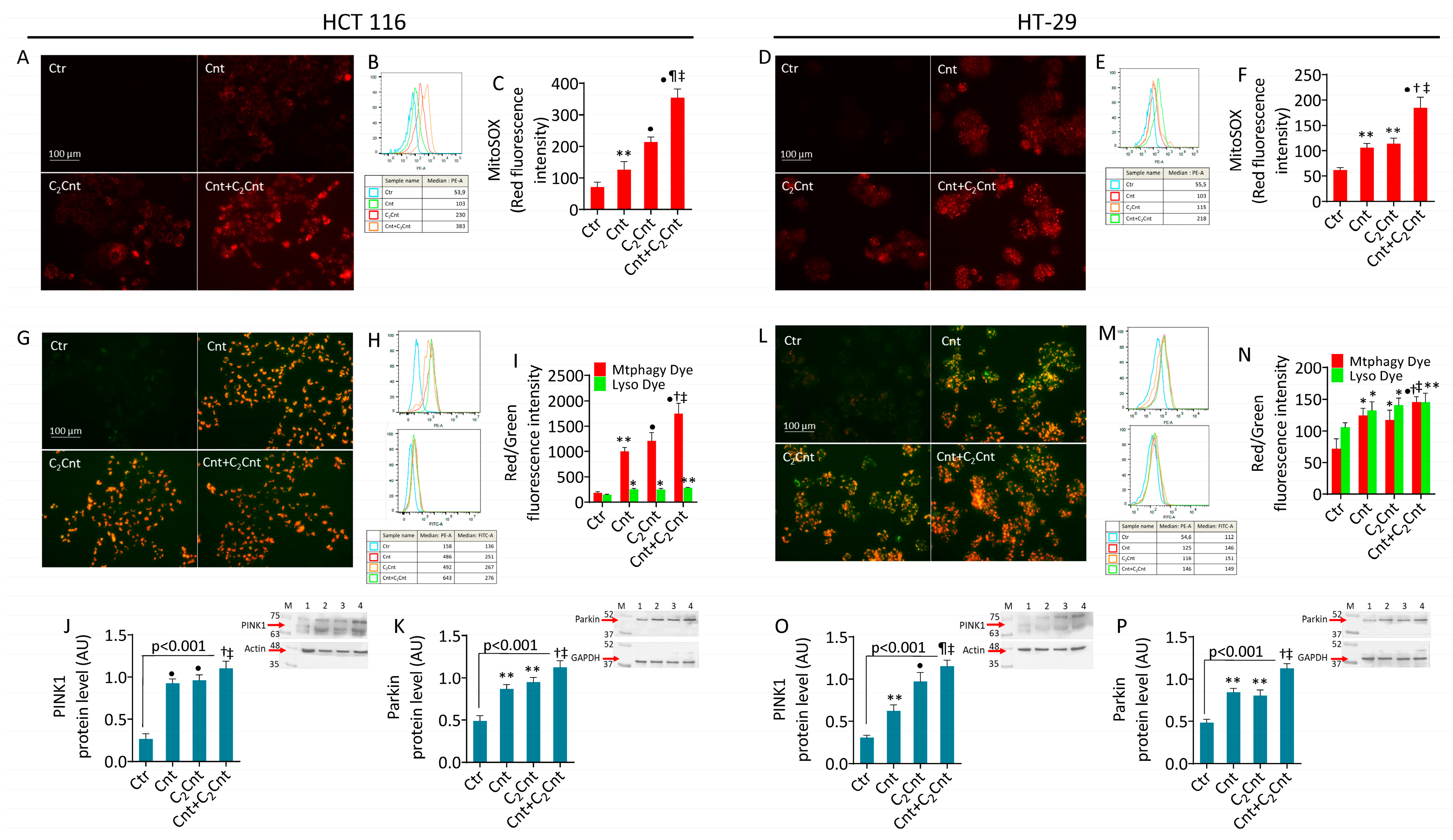 Nutrients 17 01010 g003 Nutrients 17 01010 g003