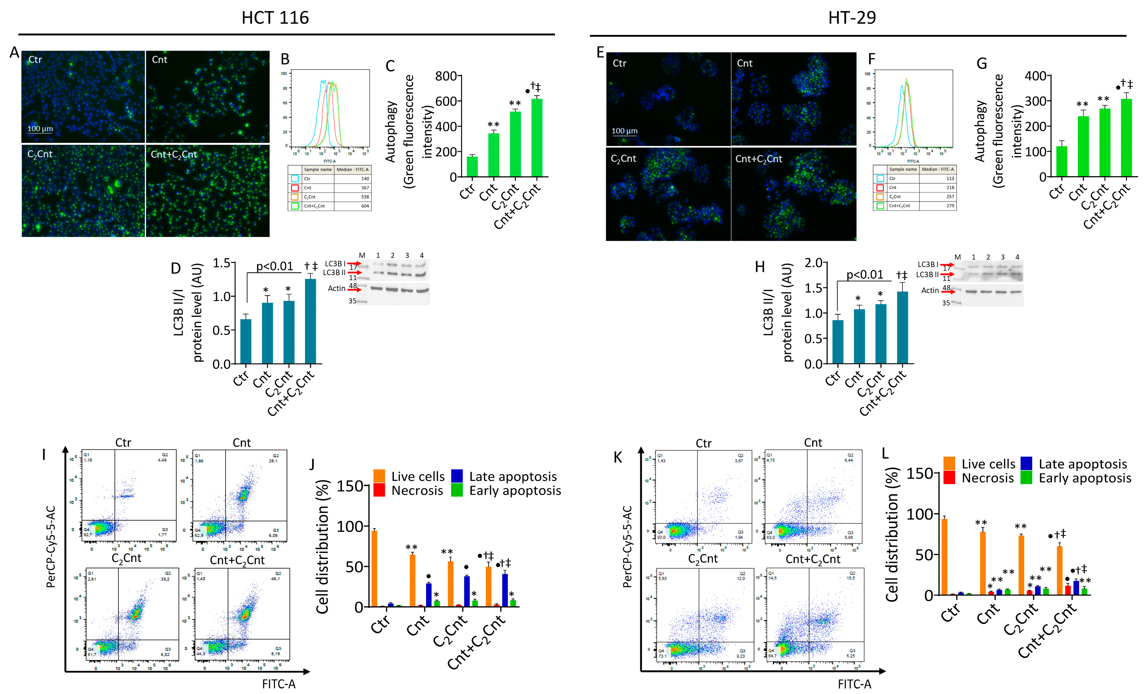Nutrients 17 01010 g004 Nutrients 17 01010 g004