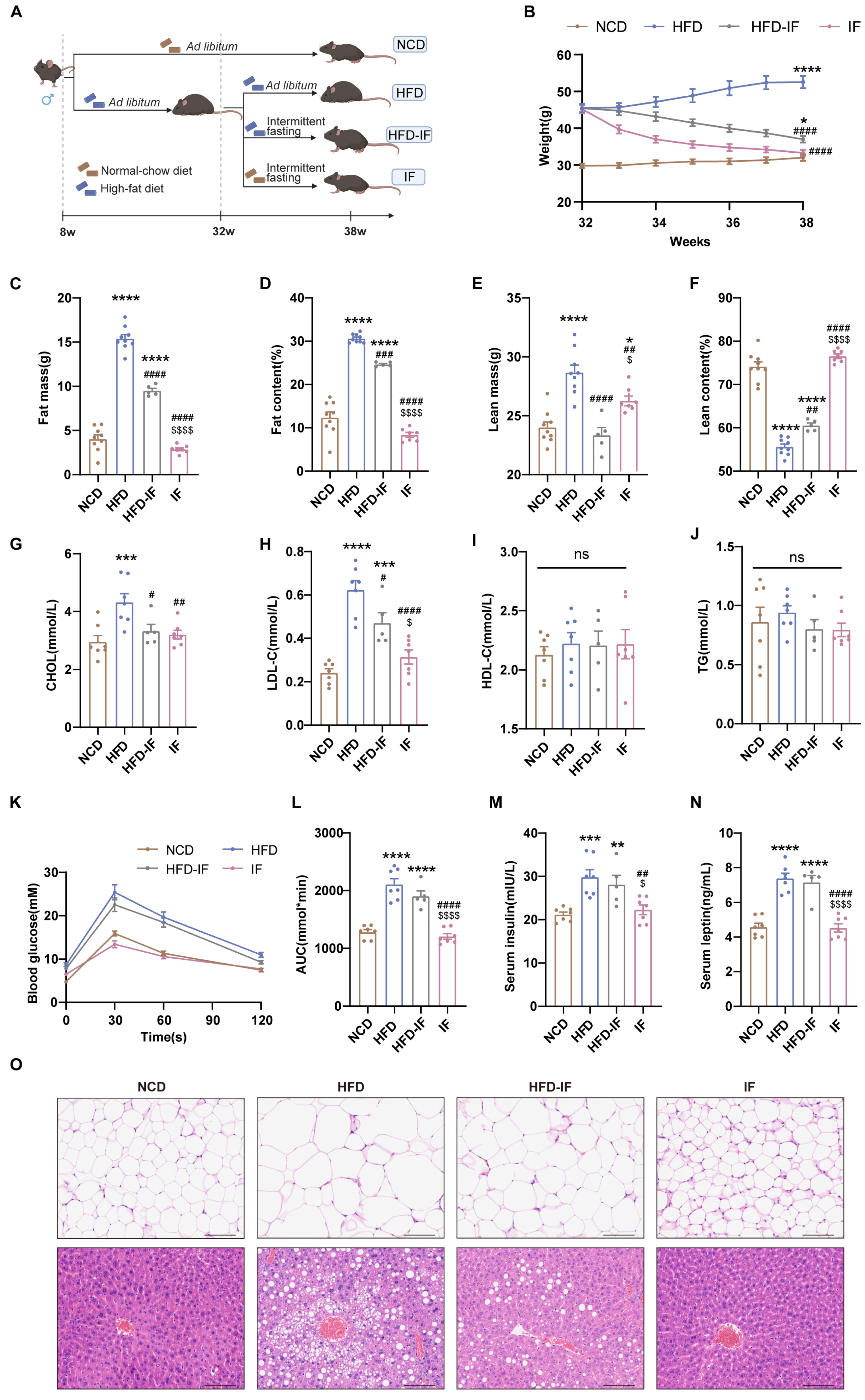 Nutrients 17 01029 g001