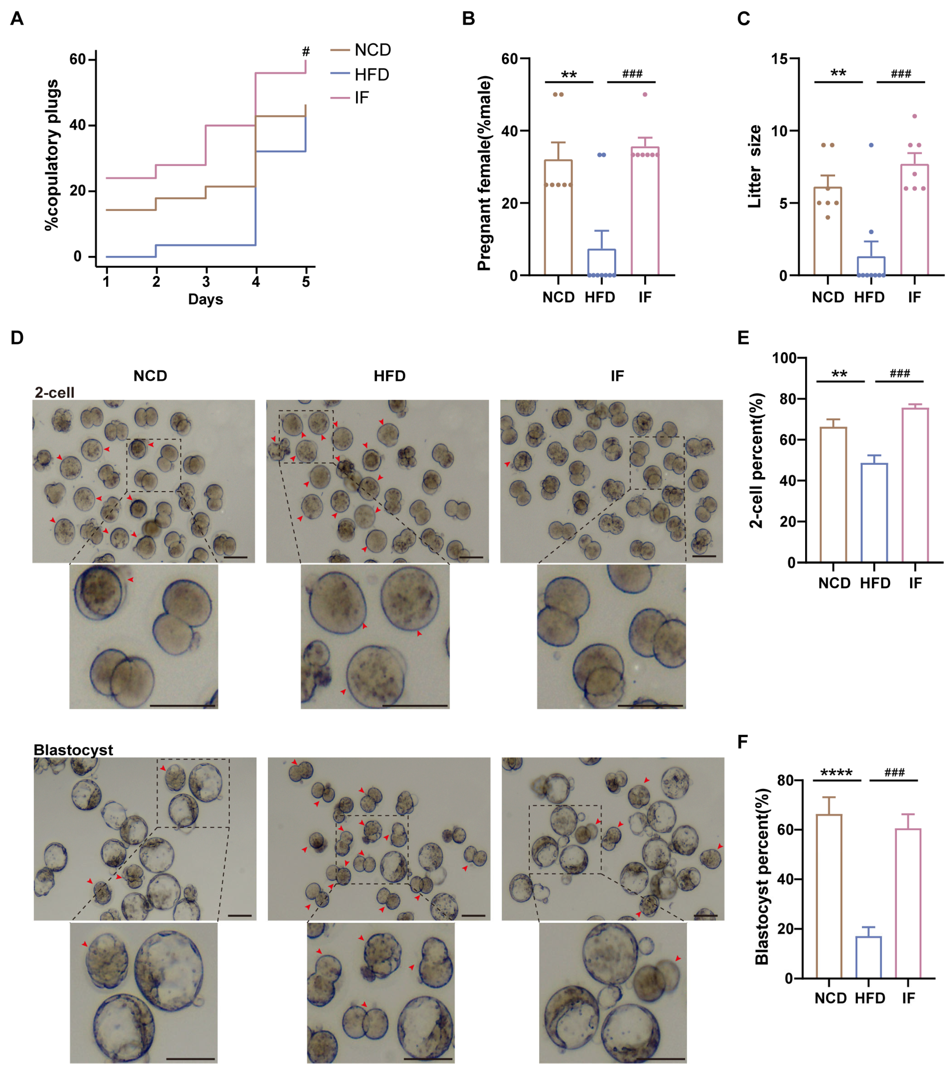 Nutrients 17 01029 g003