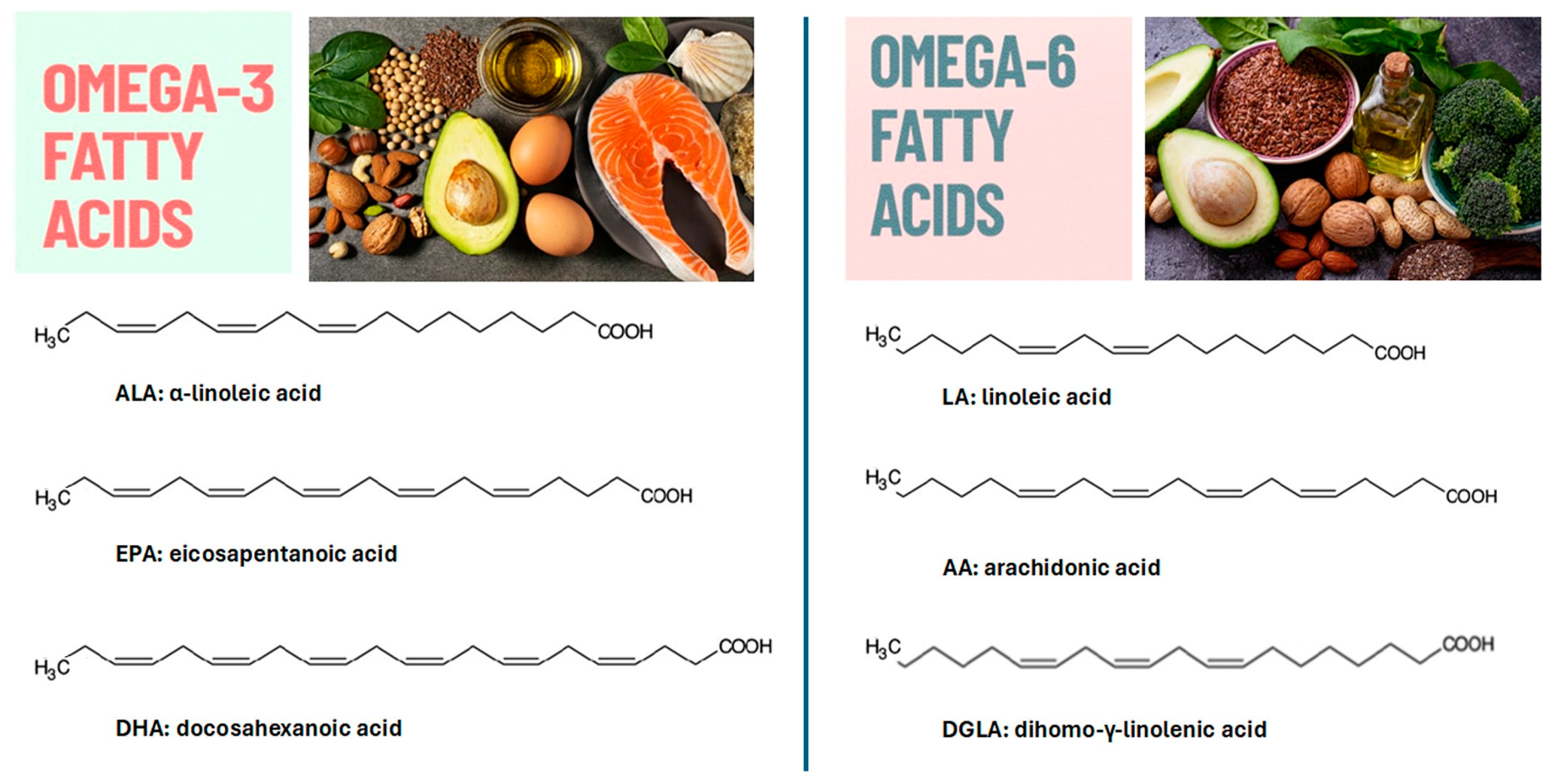 Nutrients 17 01039 g003 Nutrients 17 01039 g003