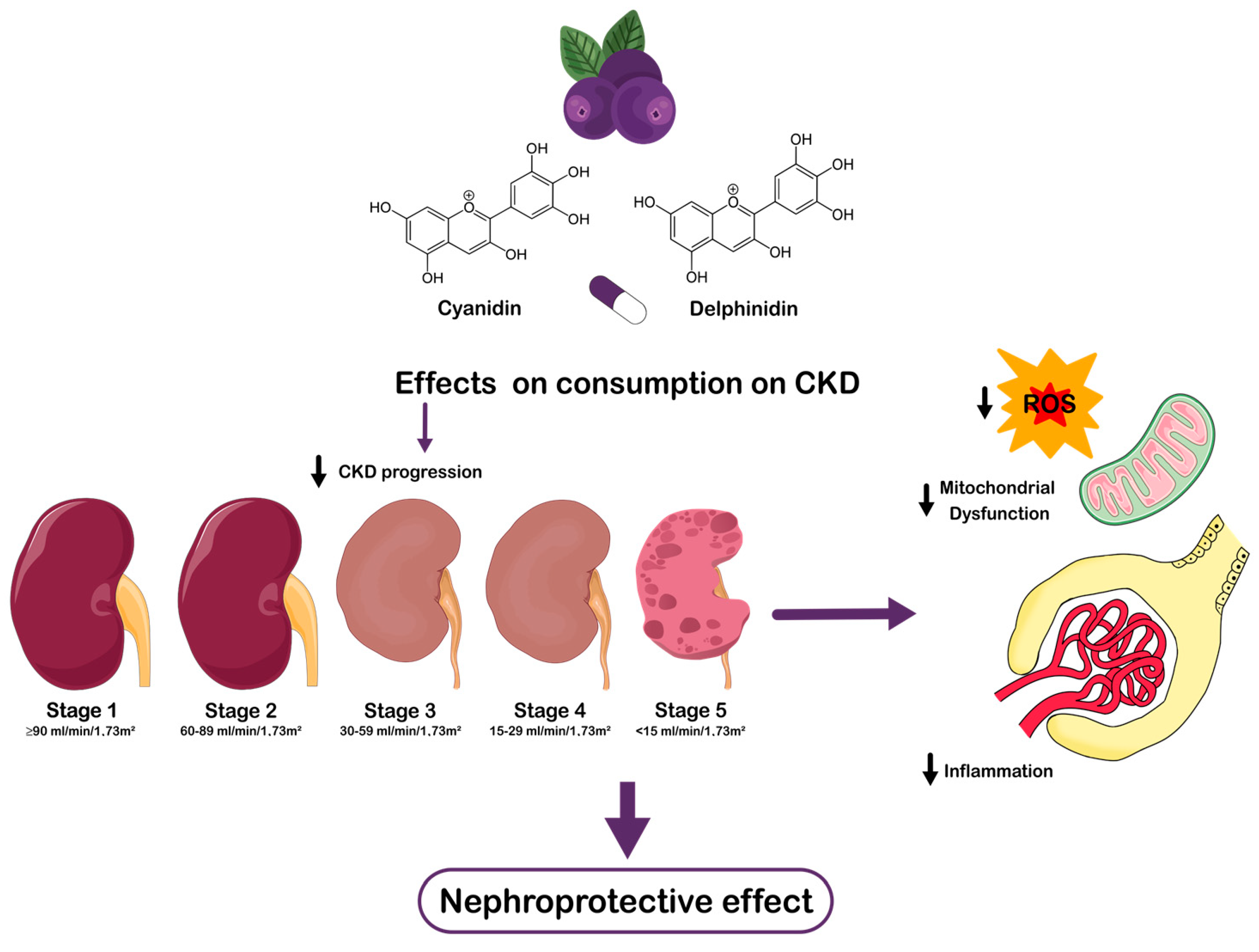 Nutrients 17 01058 g001