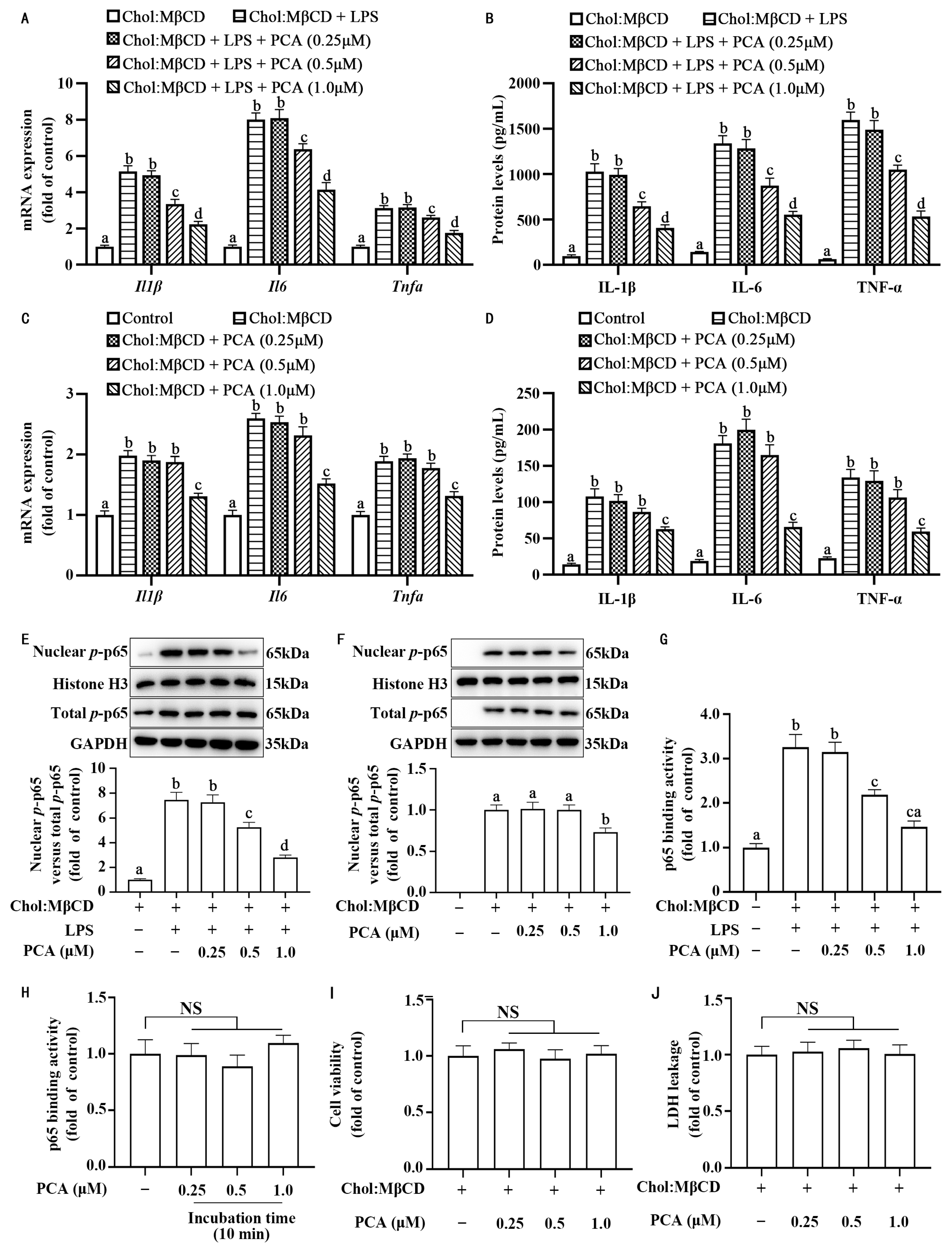 Nutrients 17 01090 g001