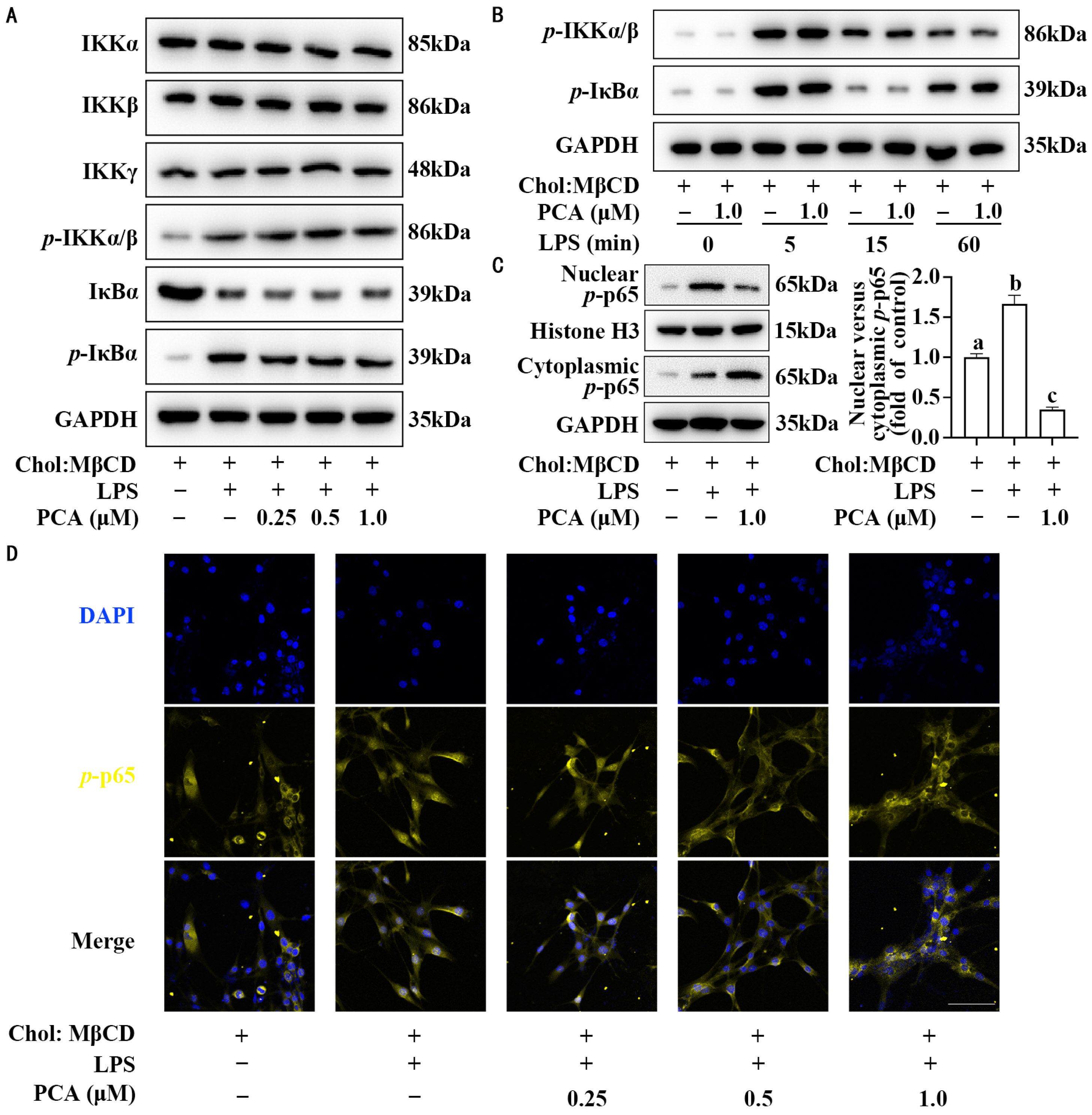 Nutrients 17 01090 g003
