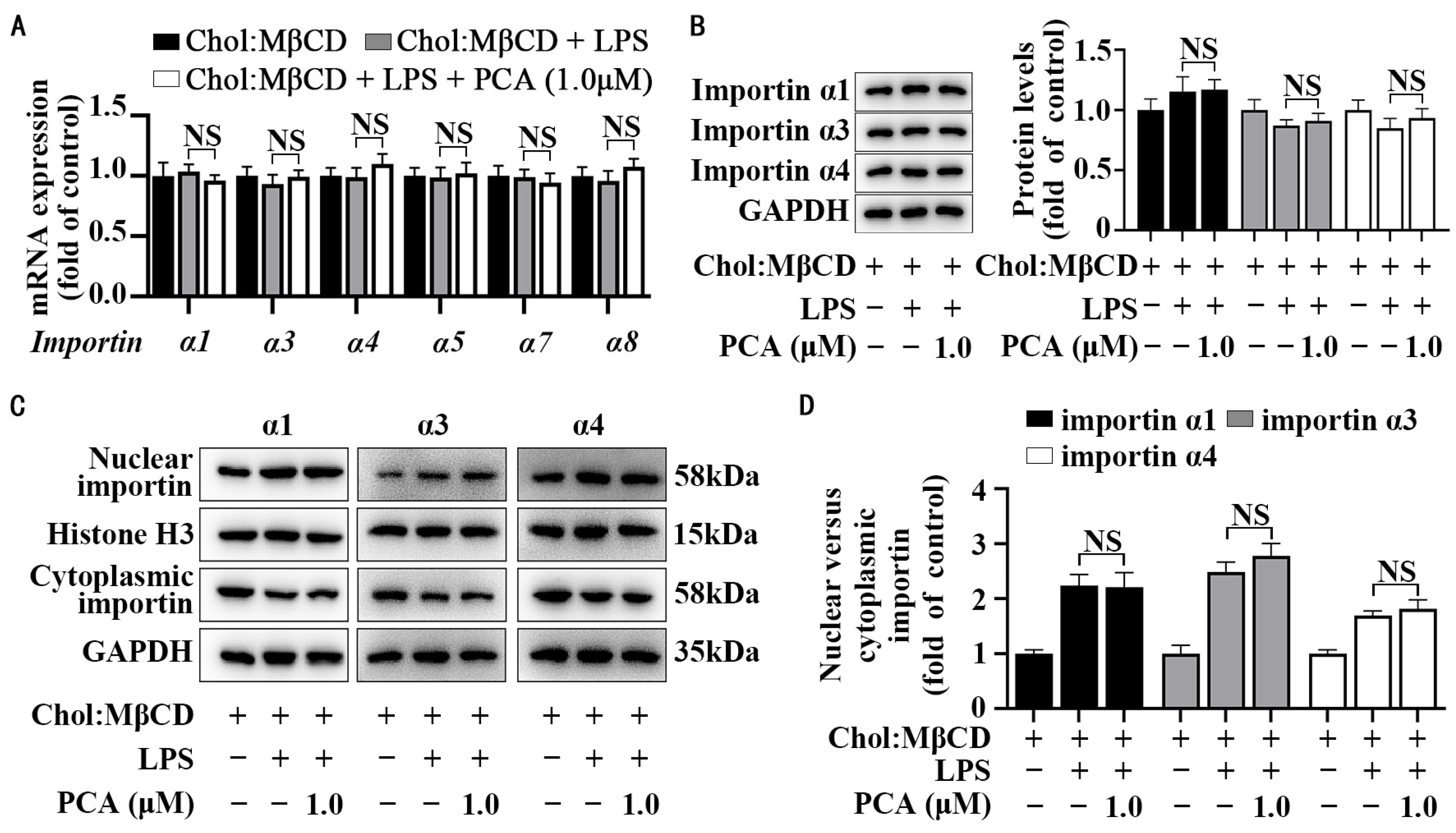 Nutrients 17 01090 g004