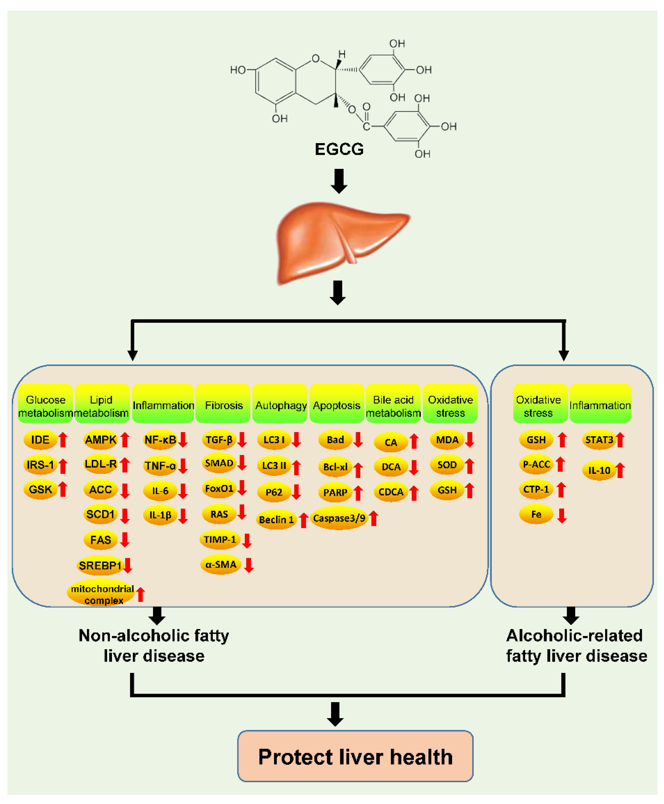 Nutrients 17 01101 g002