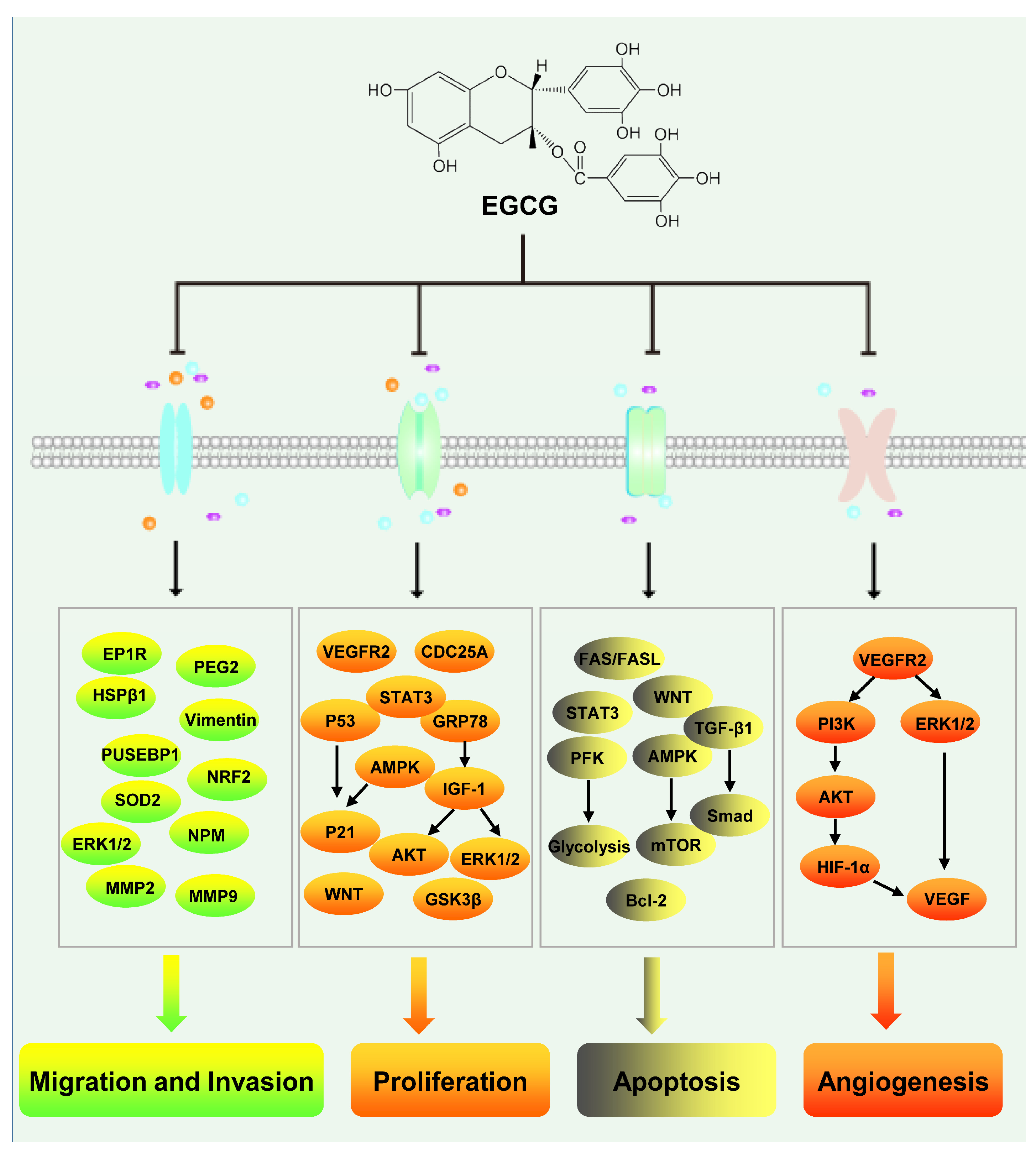 Nutrients 17 01101 g003