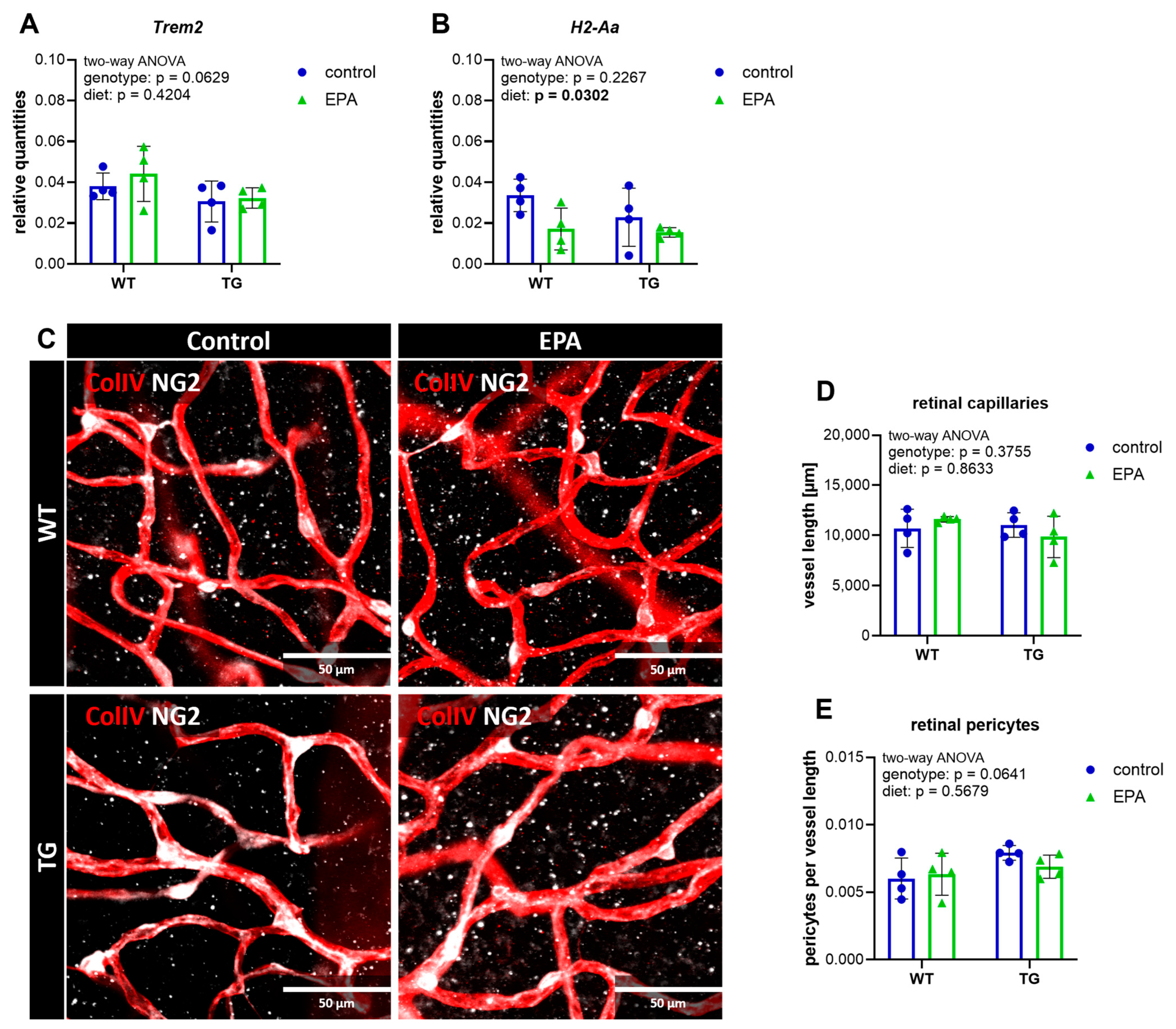 Nutrients 17 01108 g003