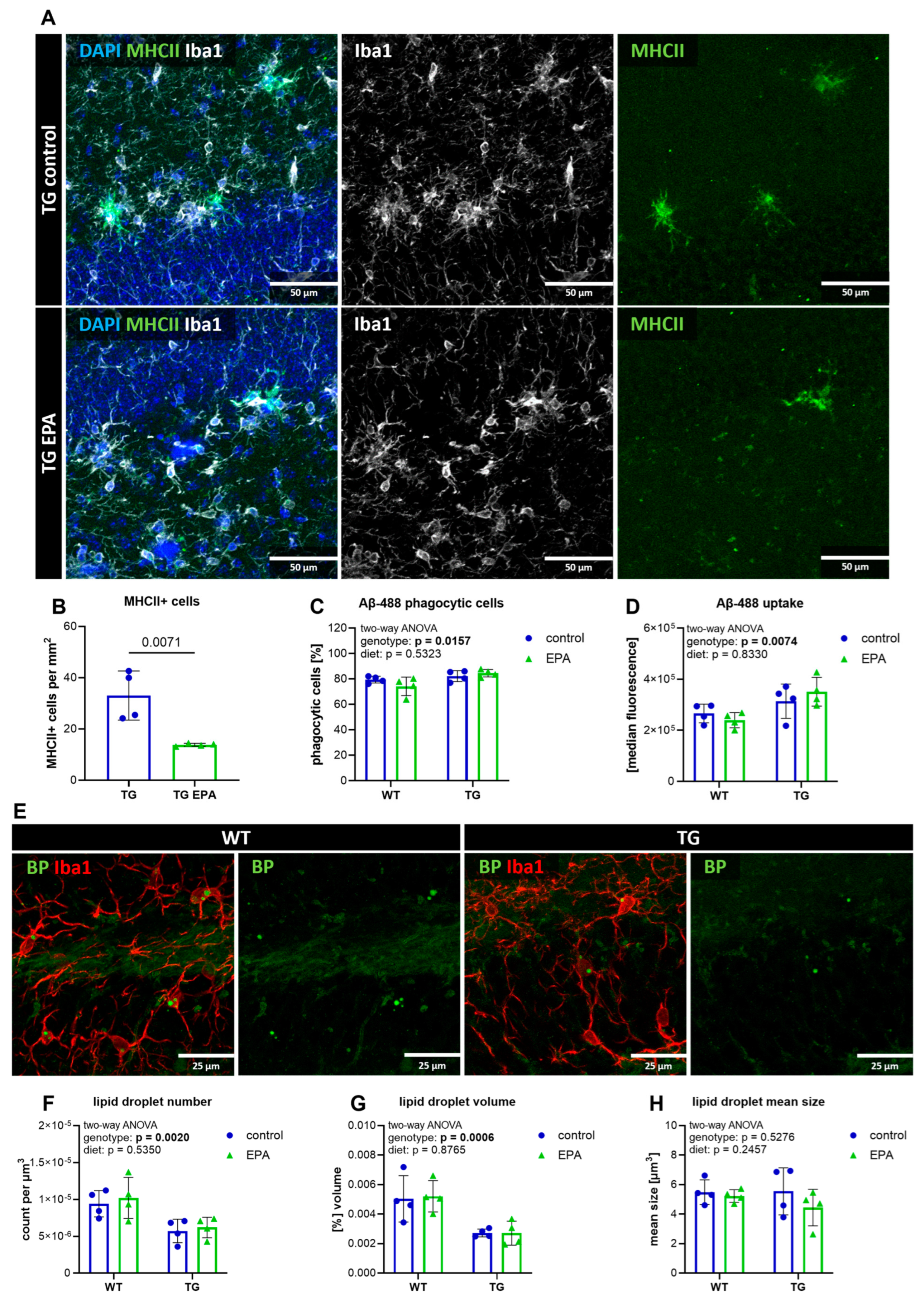 Nutrients 17 01108 g005