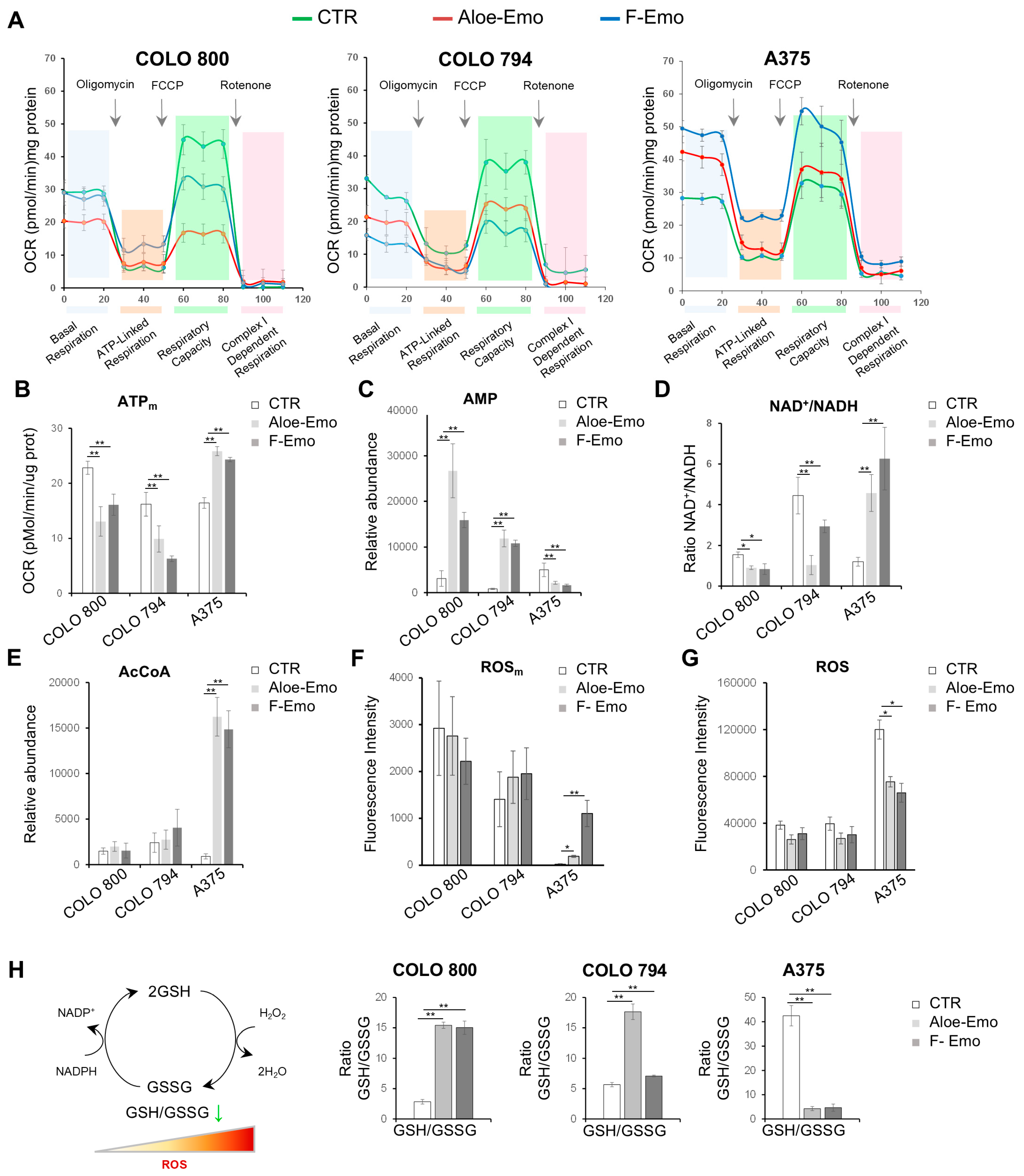 Nutrients 17 01113 g004