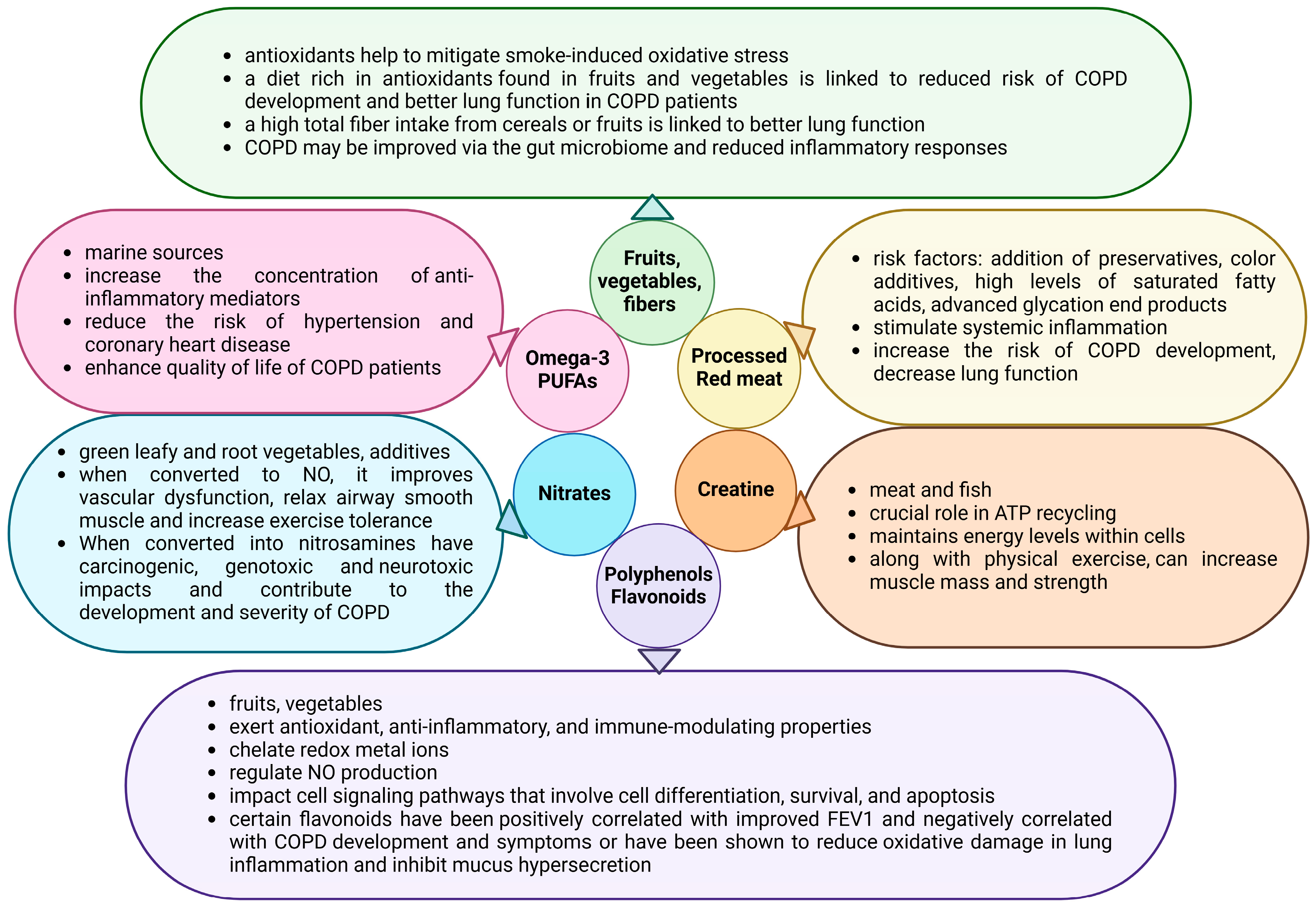 Nutrients 17 01149 g001