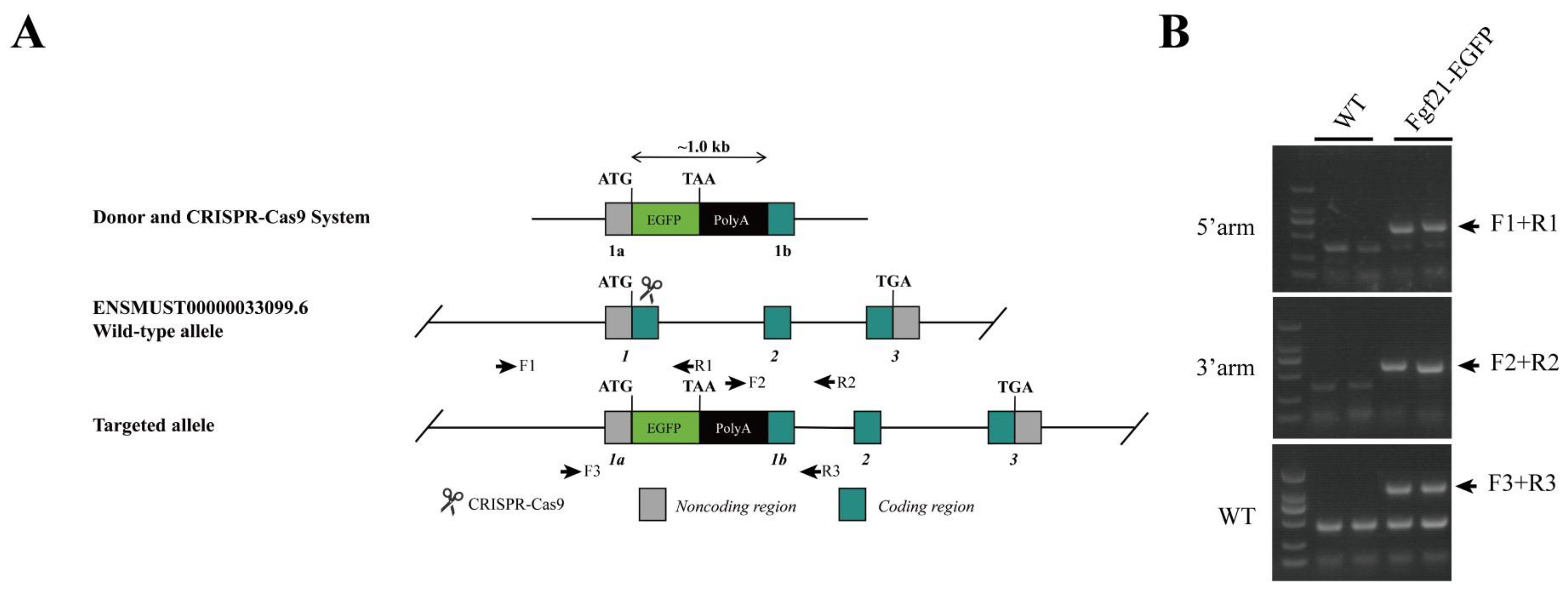 Nutrients 17 01179 g001