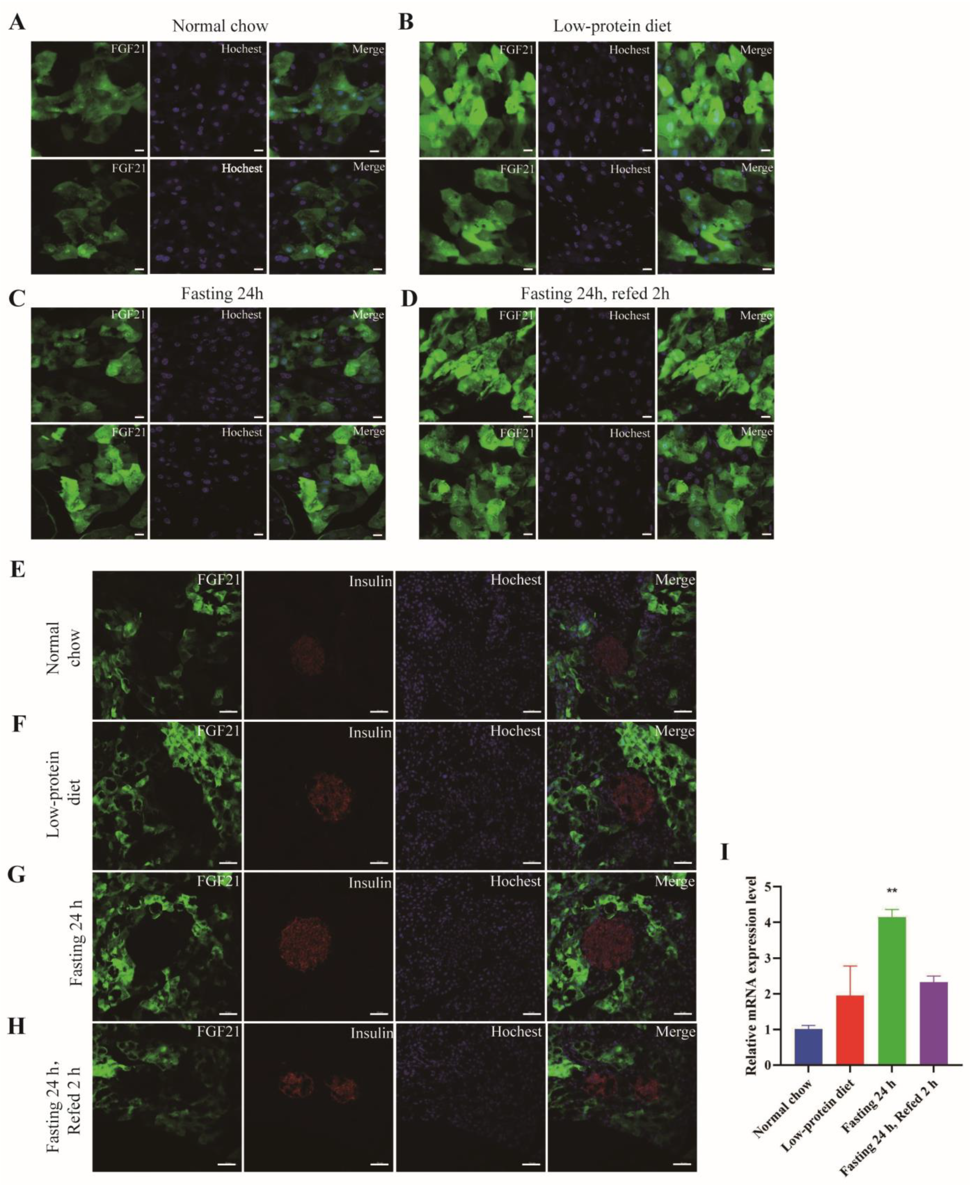 Nutrients 17 01179 g003
