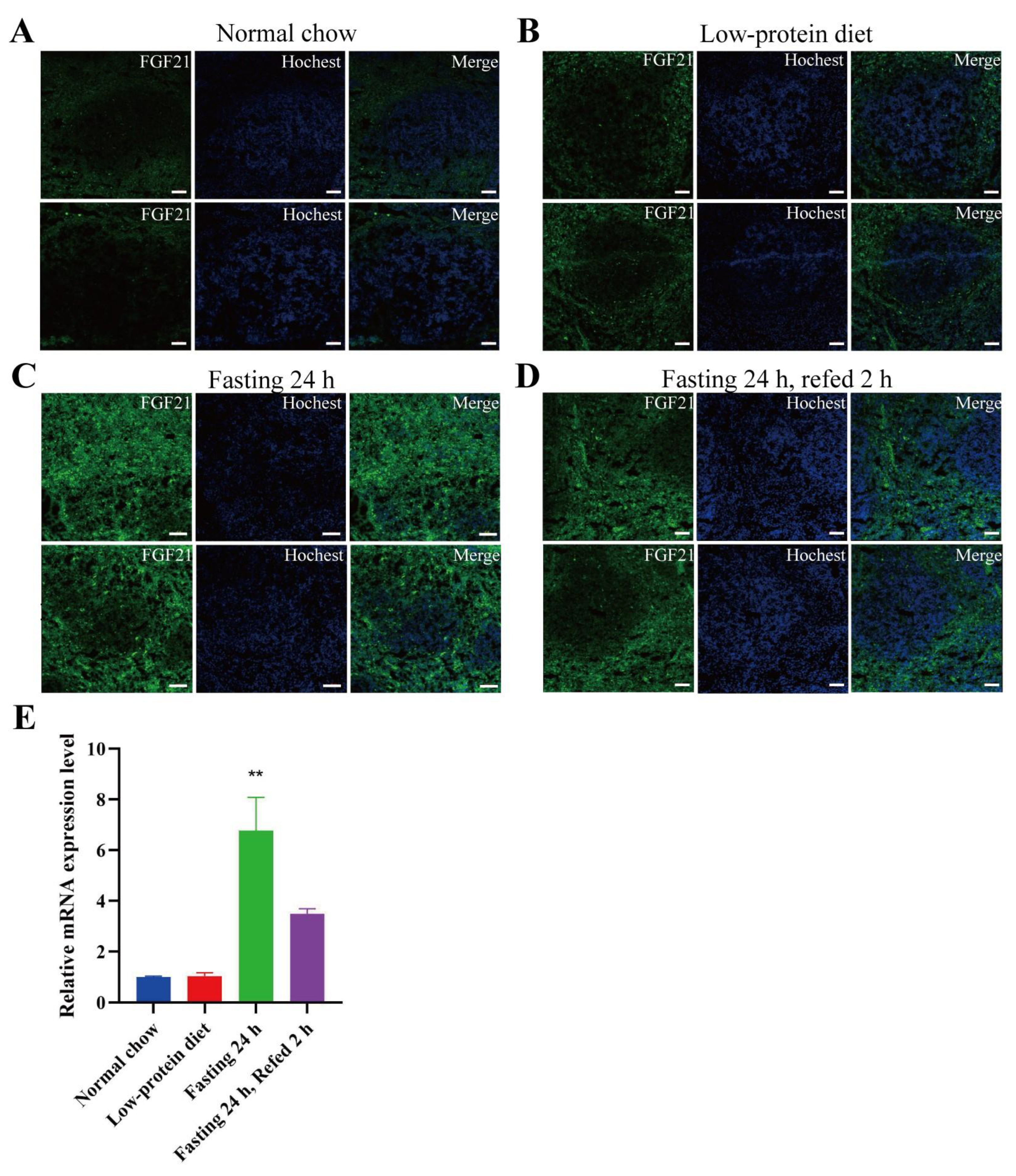 Nutrients 17 01179 g004