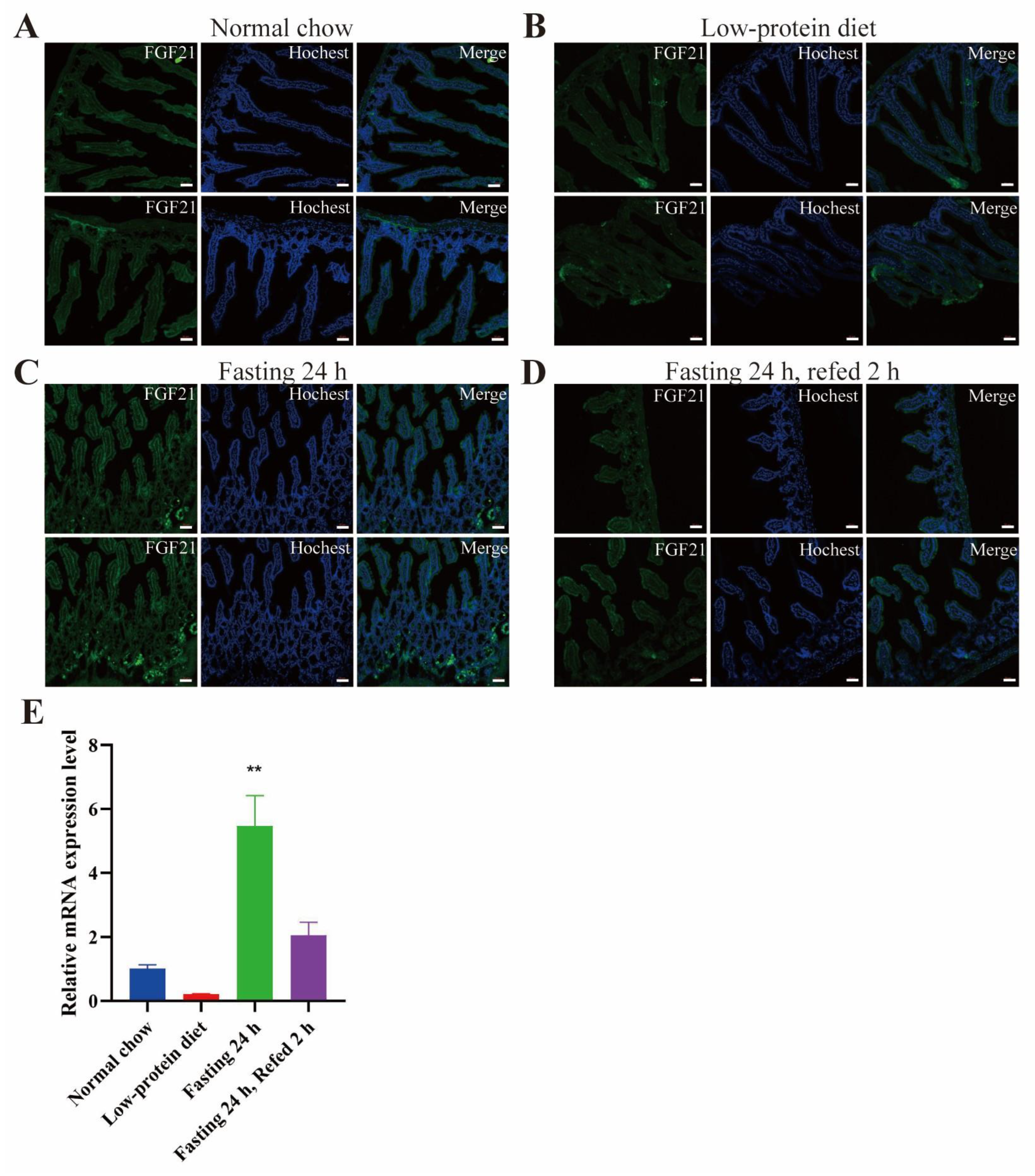 Nutrients 17 01179 g005