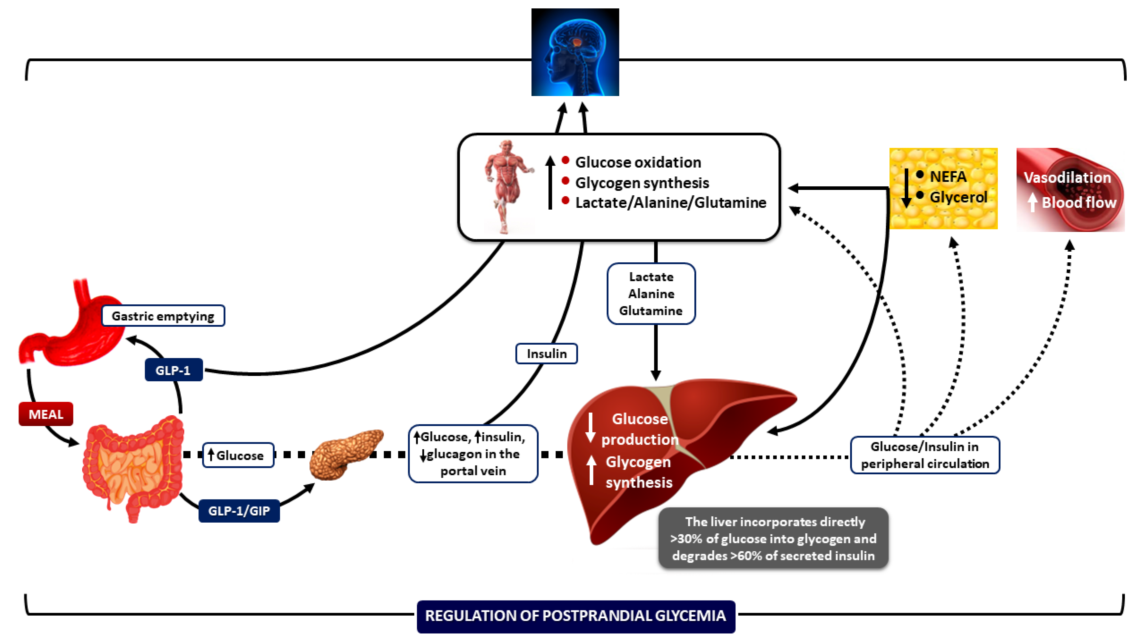 Nutrients 17 01223 g001